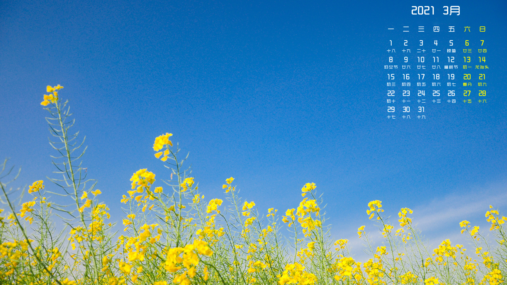 2021年,,3月,油菜花