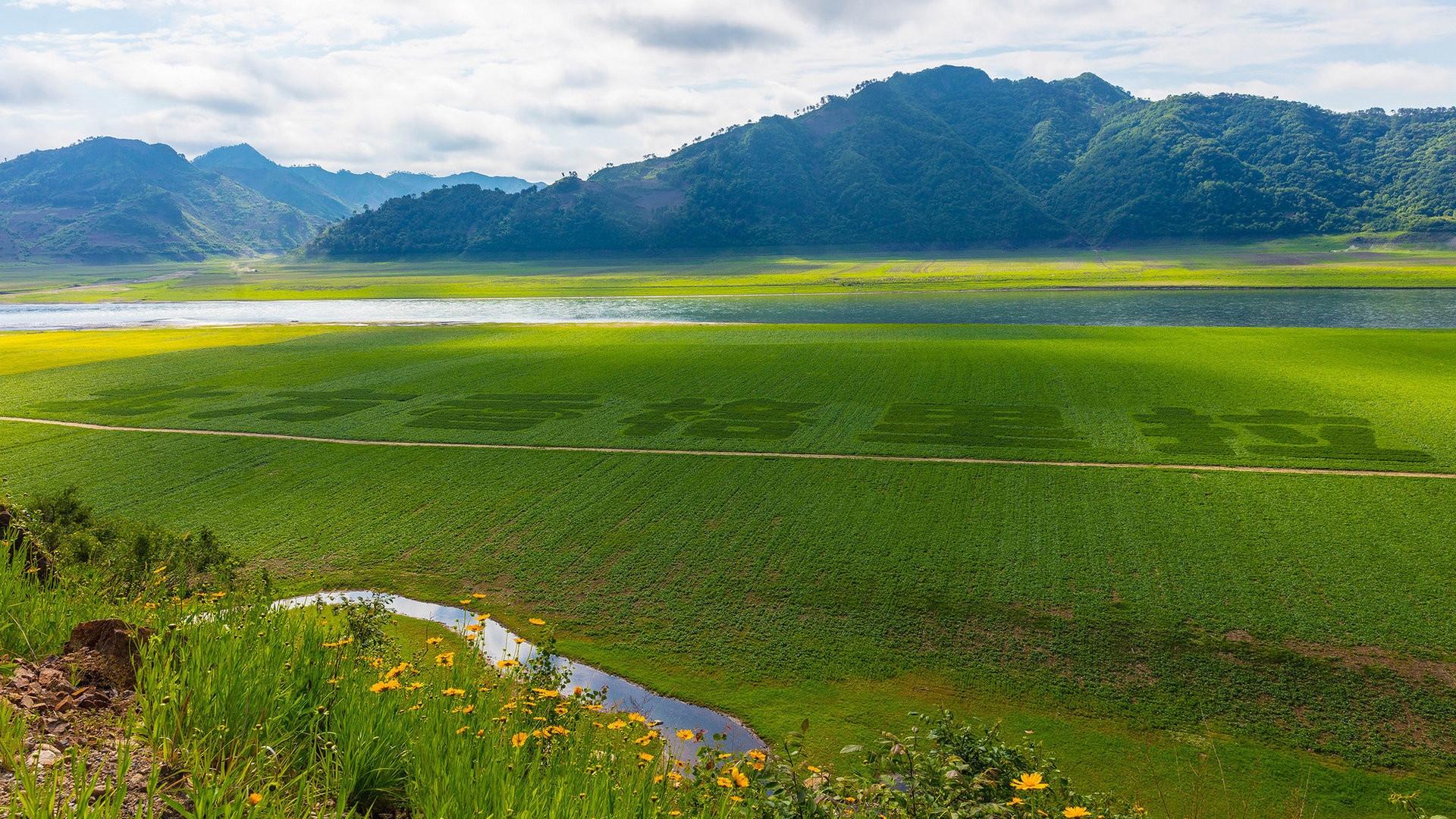 自然风光,,辽宁,绿江村,,稻田,,清新迷人
