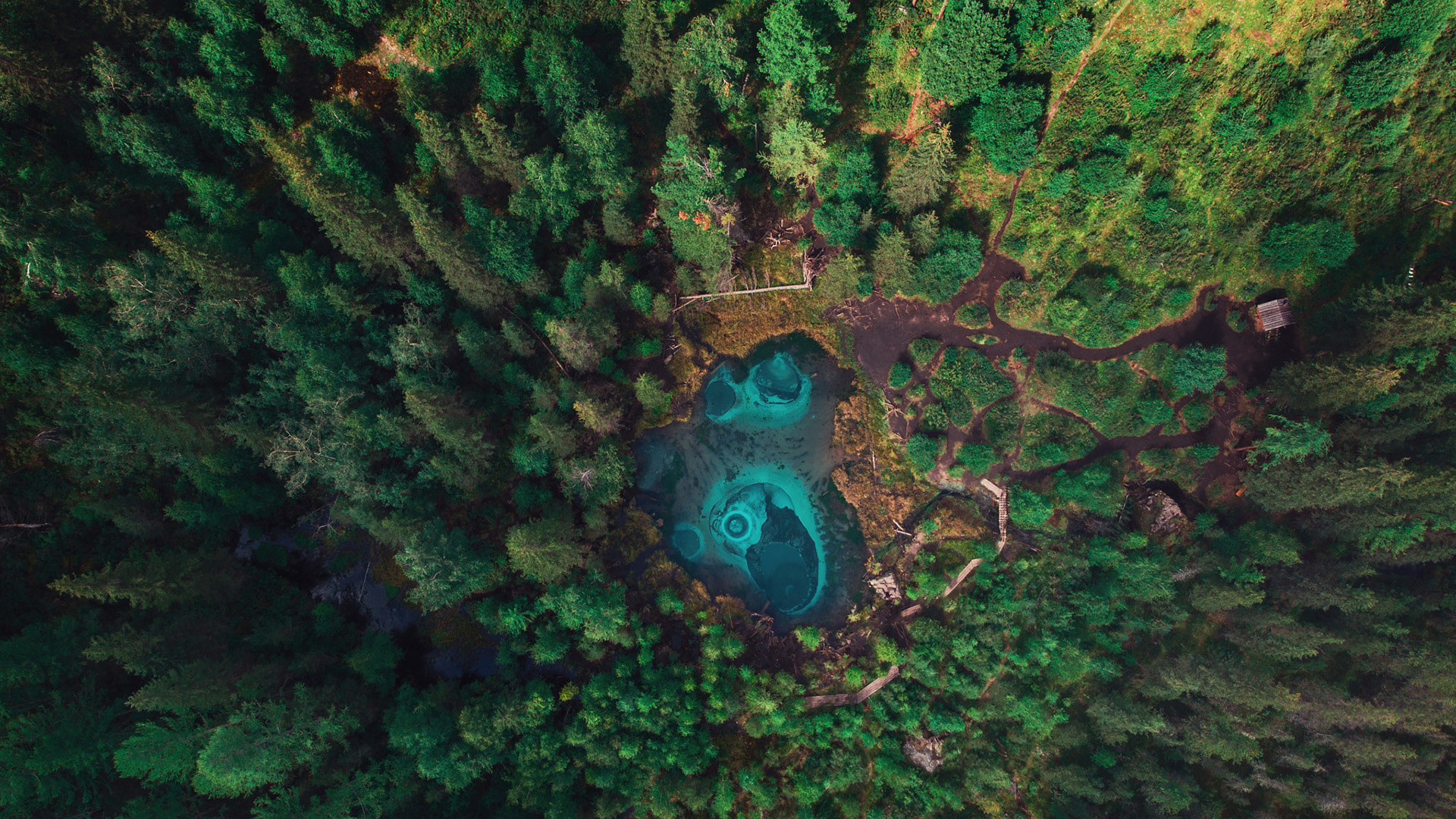 春意盎然,树林,水潭,航拍