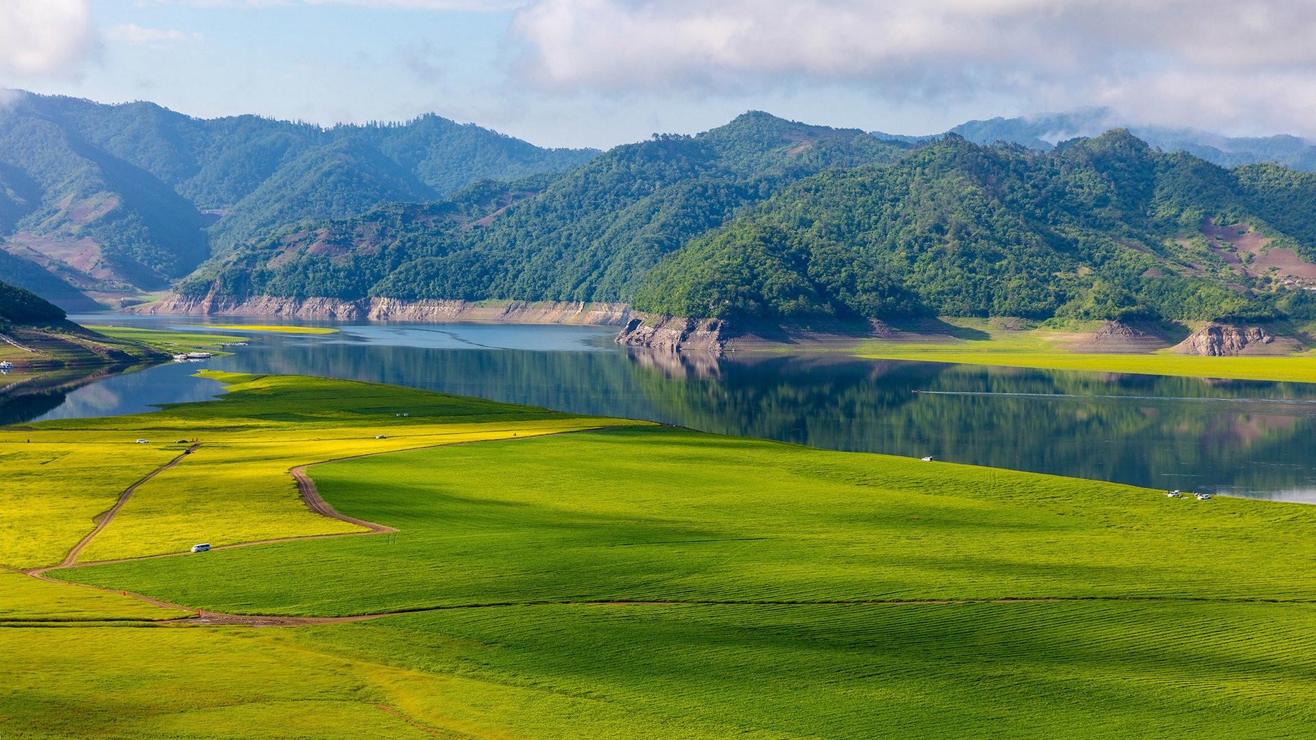 自然风光,,辽宁,绿江村,,稻田,,清新迷人