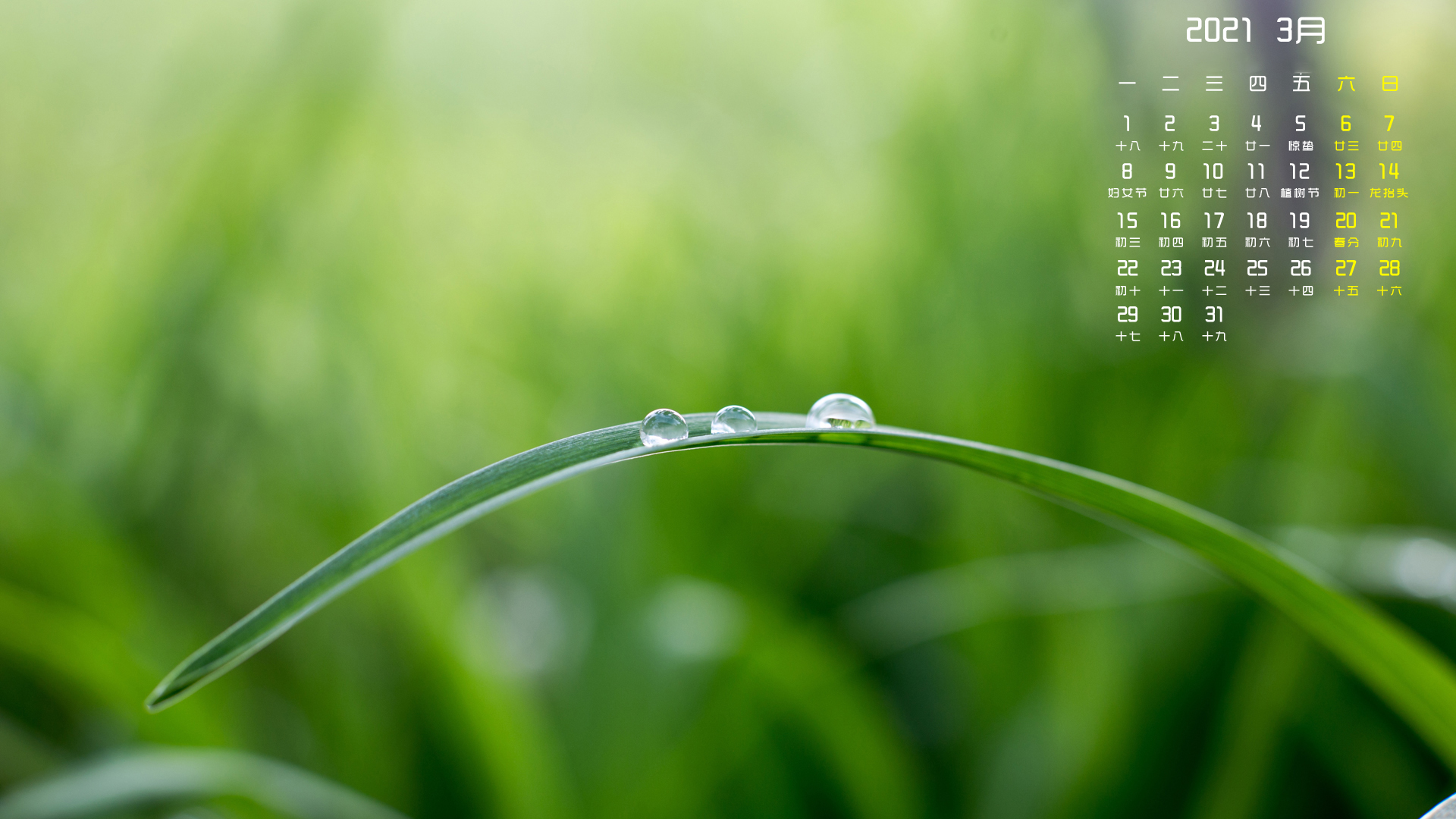 2021年,,3月