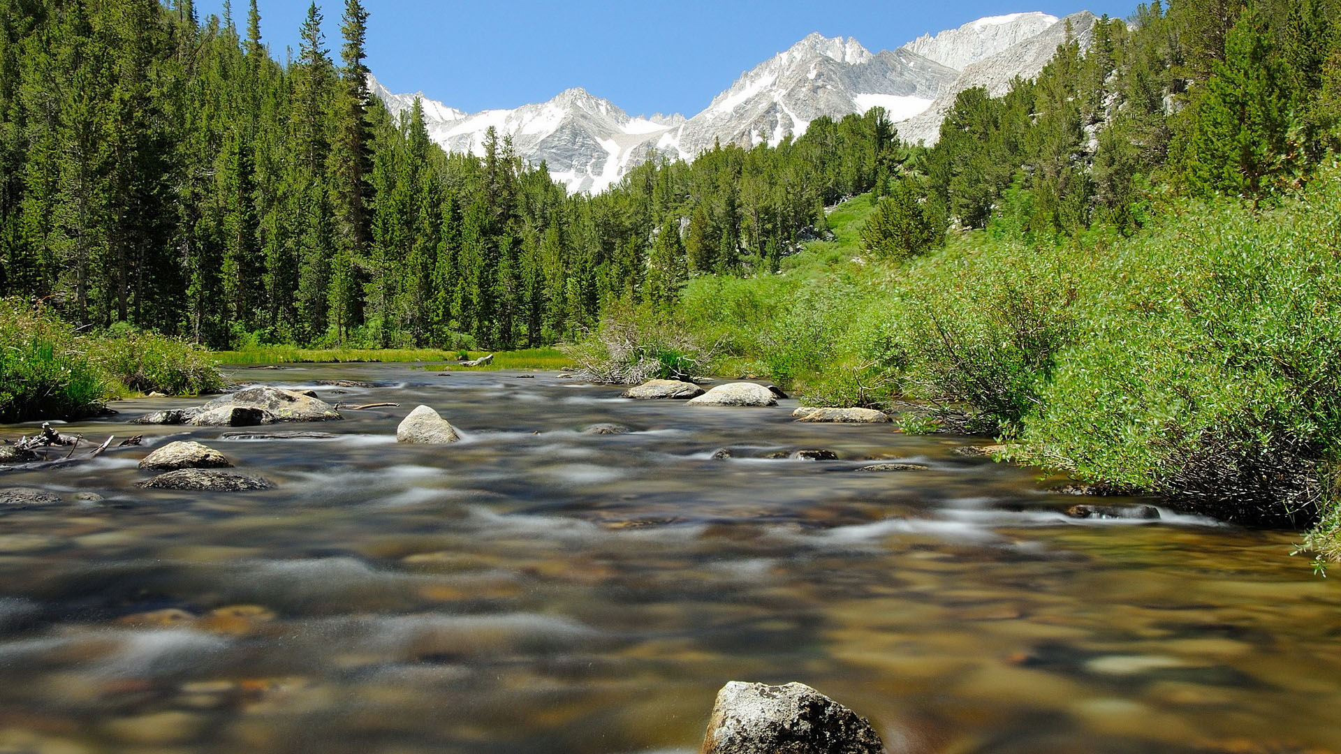 自然风光,河流,雪山,树林,石头,延时
