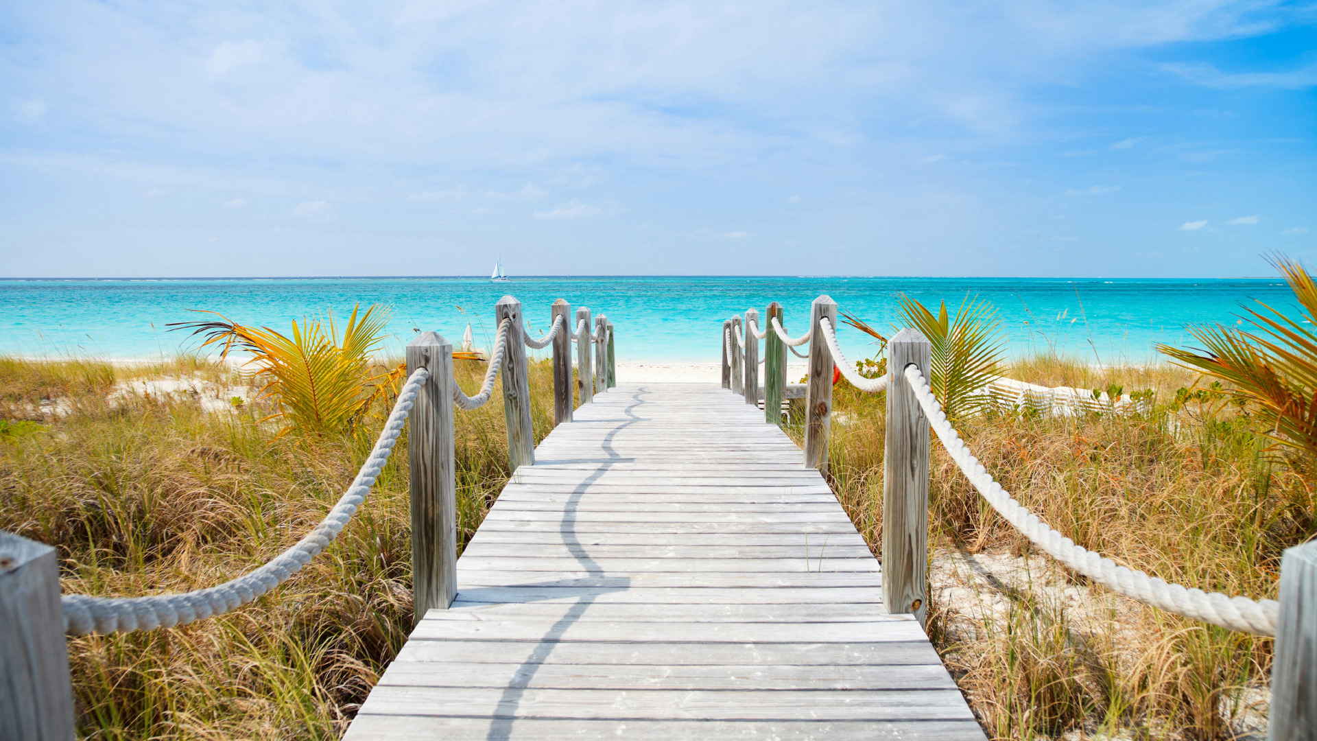 炎炎夏日,,风景海边,,木栈道,,蓝色海洋