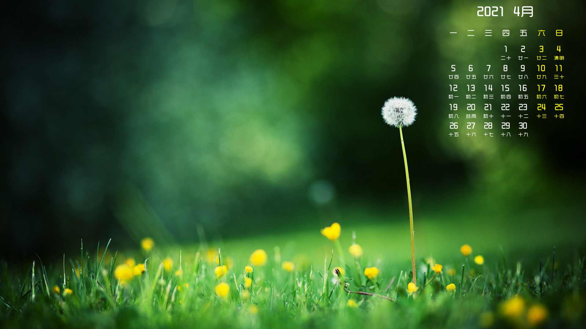 月例壁纸,,,4月,,绿色