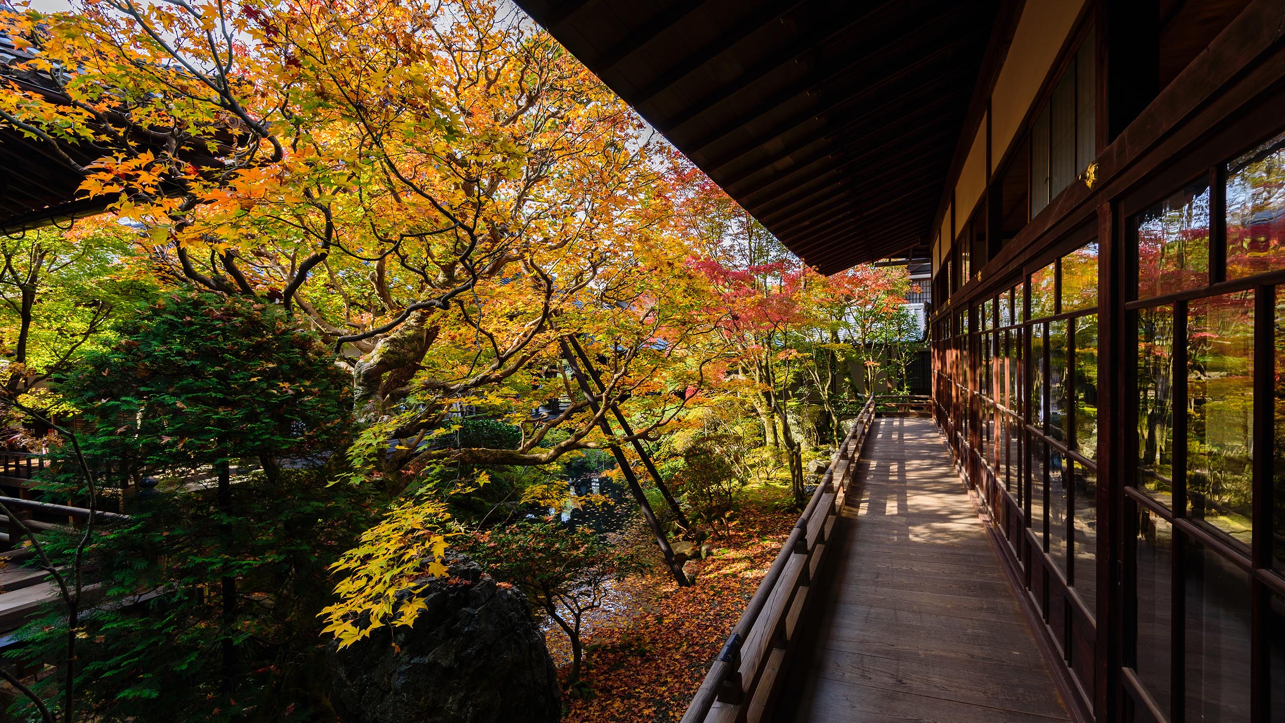 秋意正浓,园林,长廊,庭院