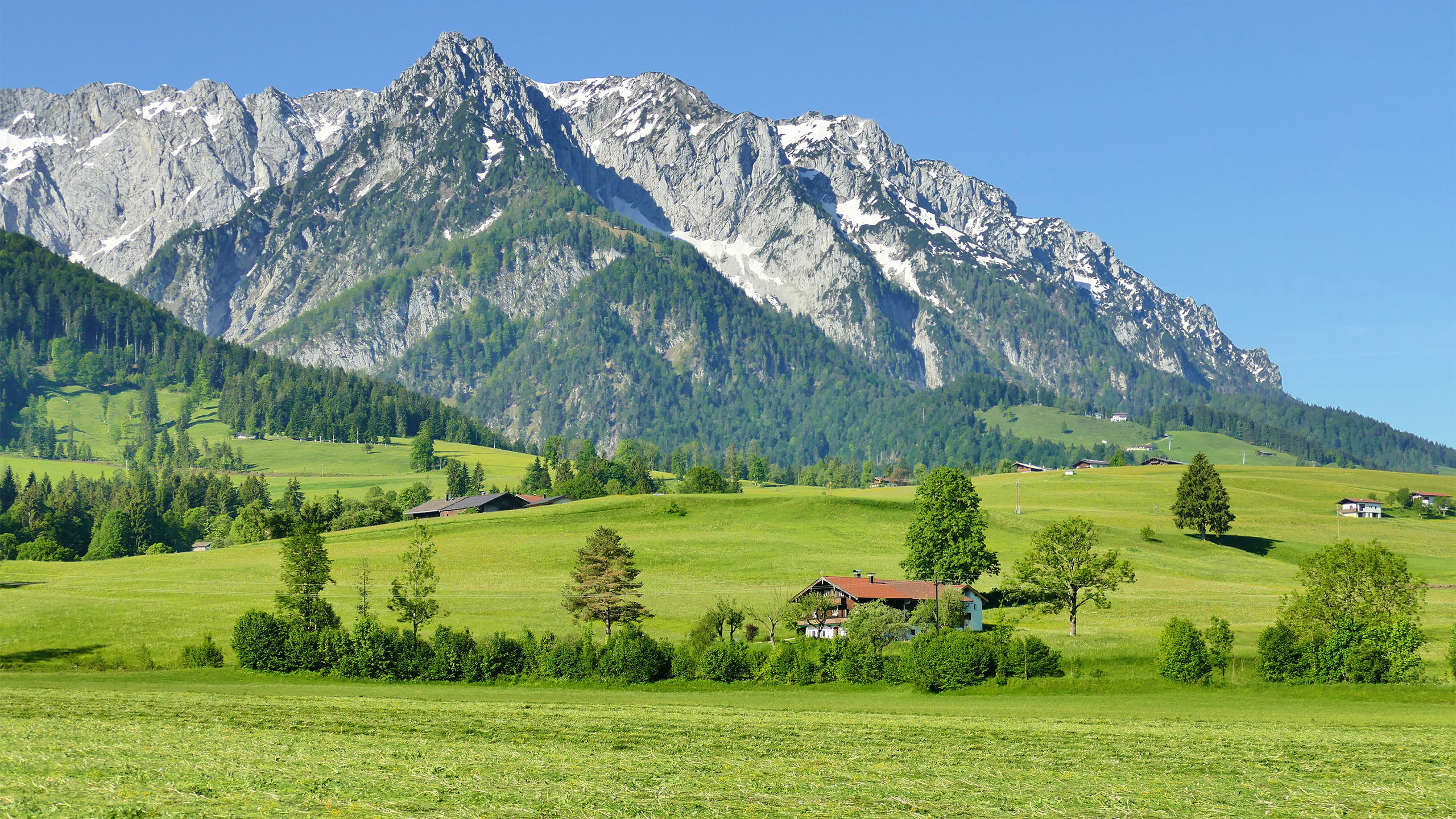 自然风光,草地,草原,山峰,阿尔卑斯