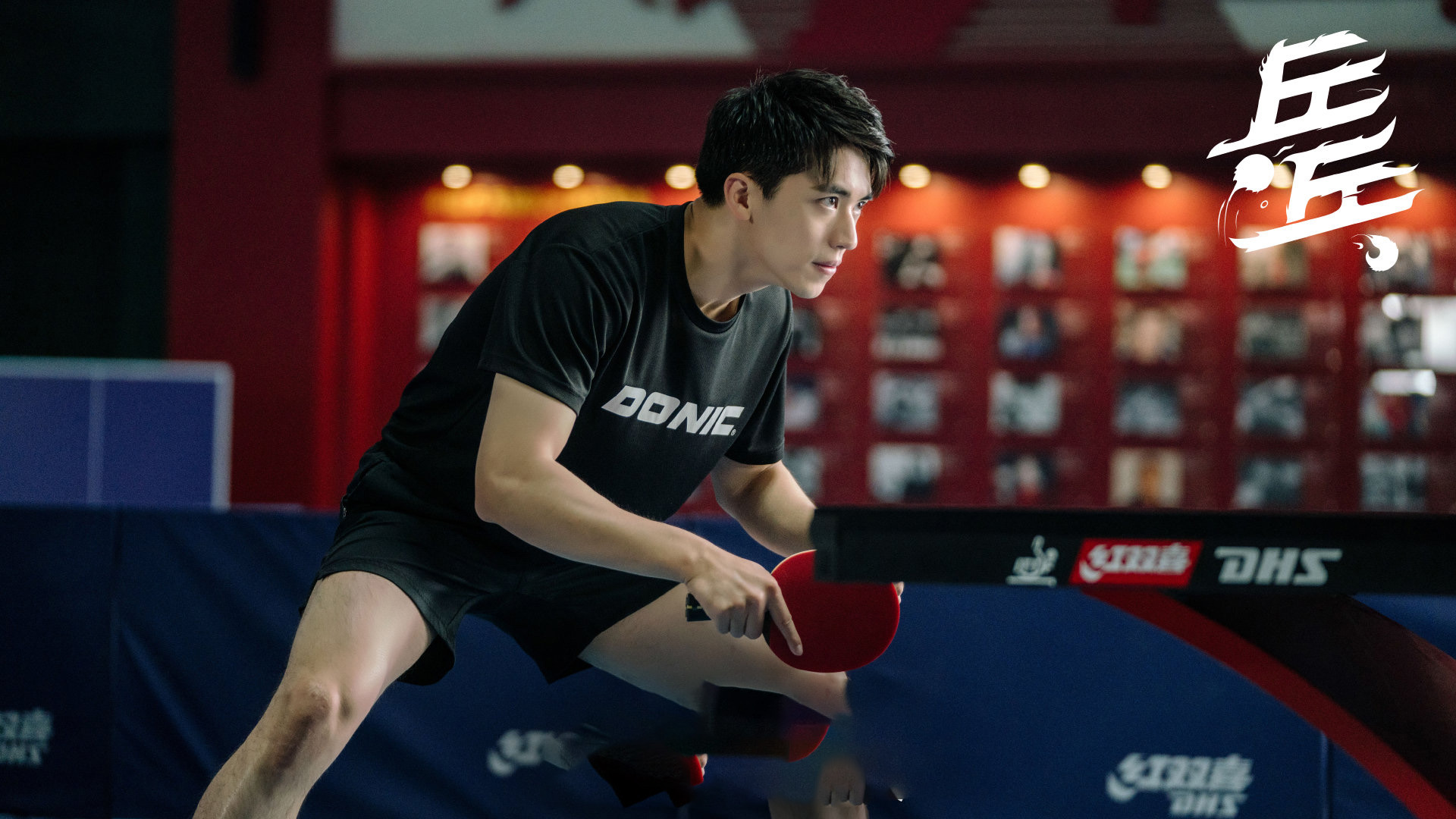 荣耀乒乓,,白敬亭,,许魏洲