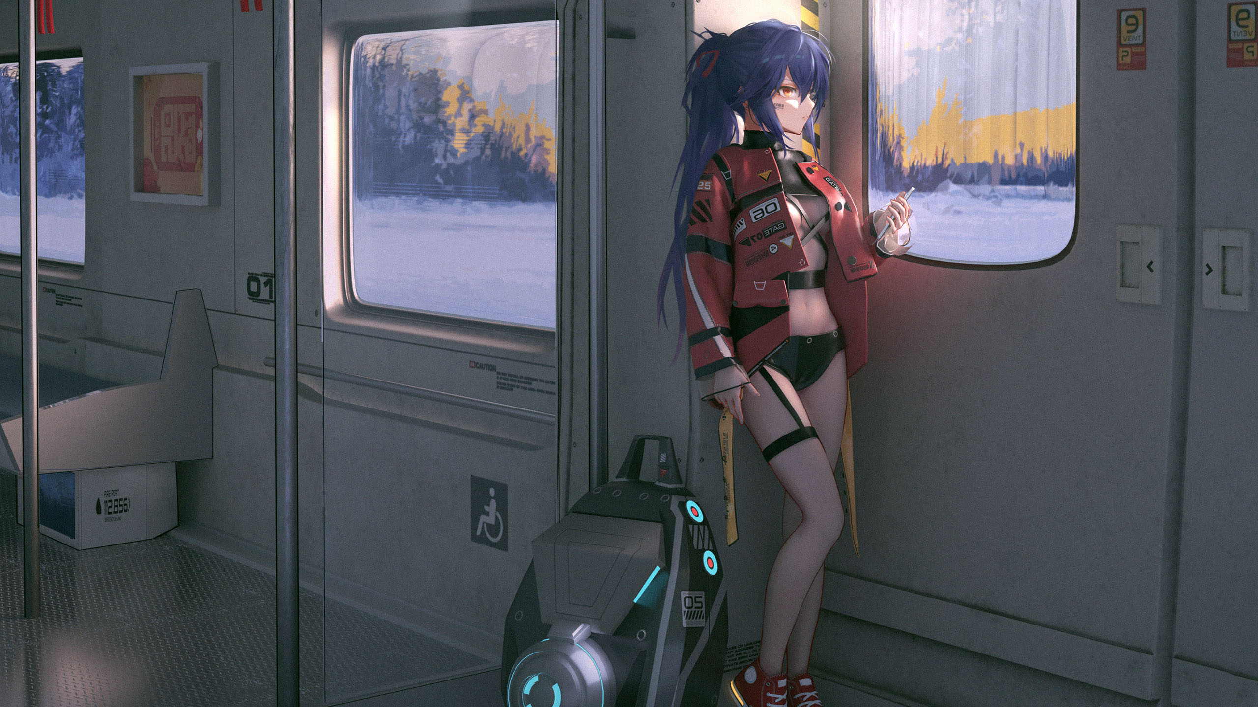 列车,行李箱,火车,窗外