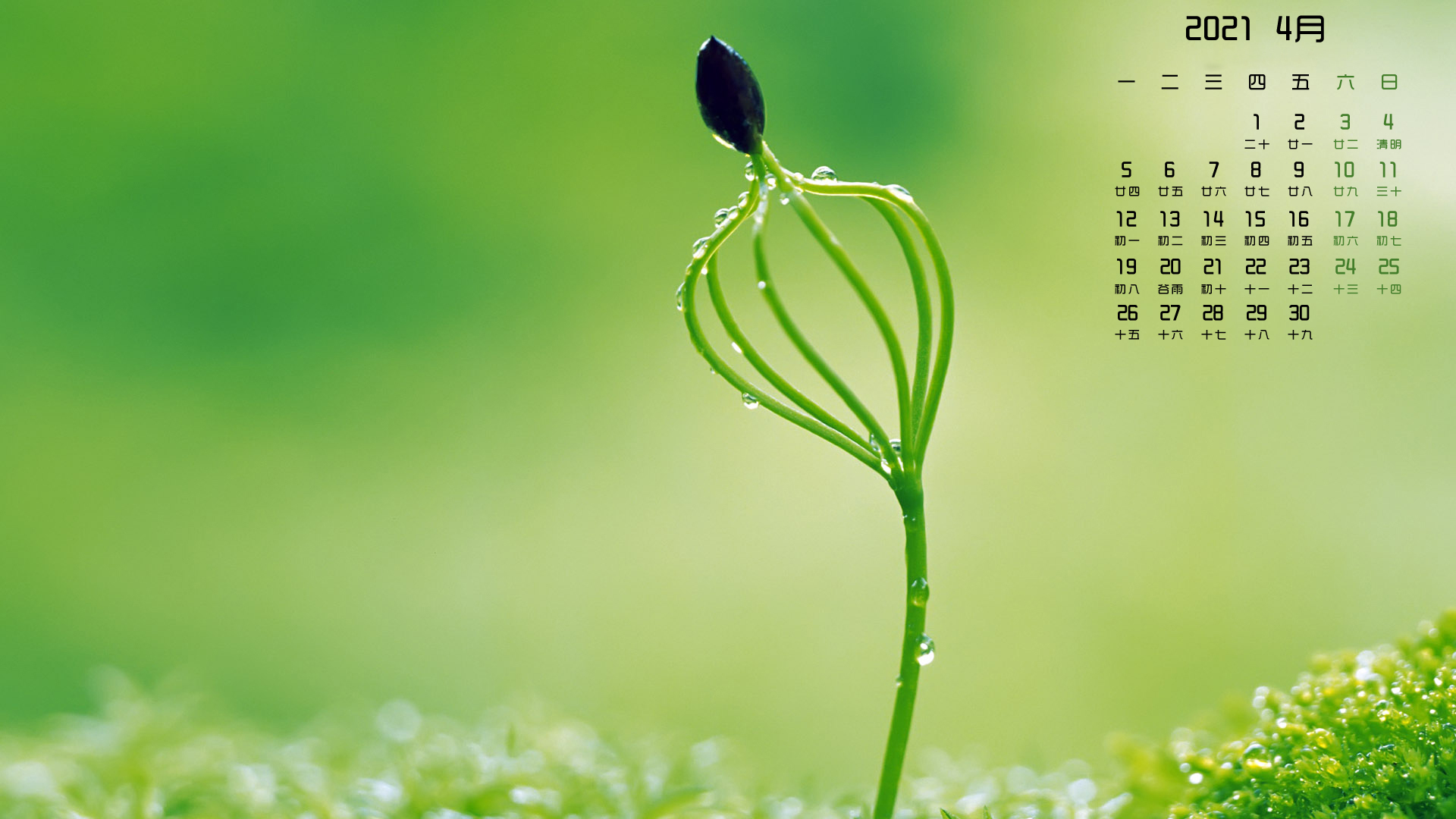 月例壁纸,,,4月,,护眼,
