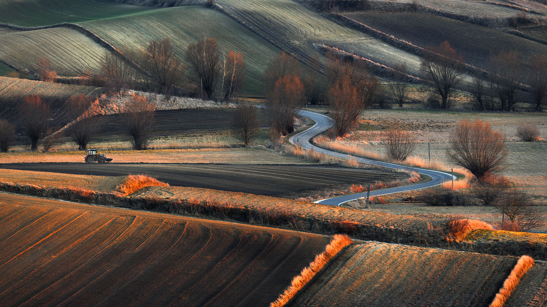 秋意正浓,乡村,原野,深秋