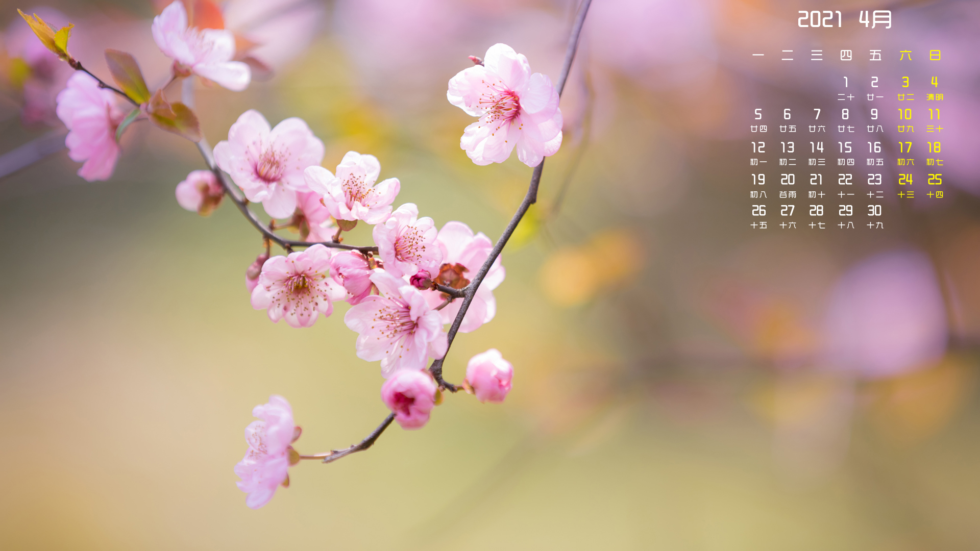 月例壁纸,,,4月,,桃花,,