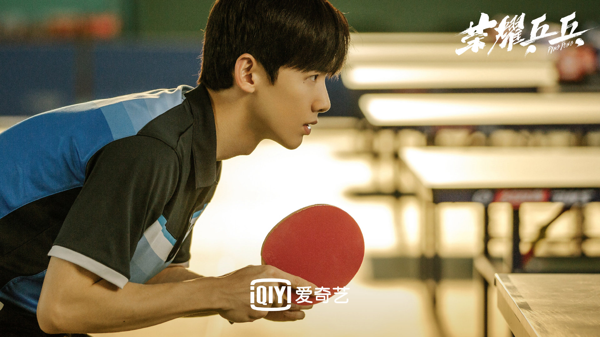 荣耀乒乓,,白敬亭,,许魏洲
