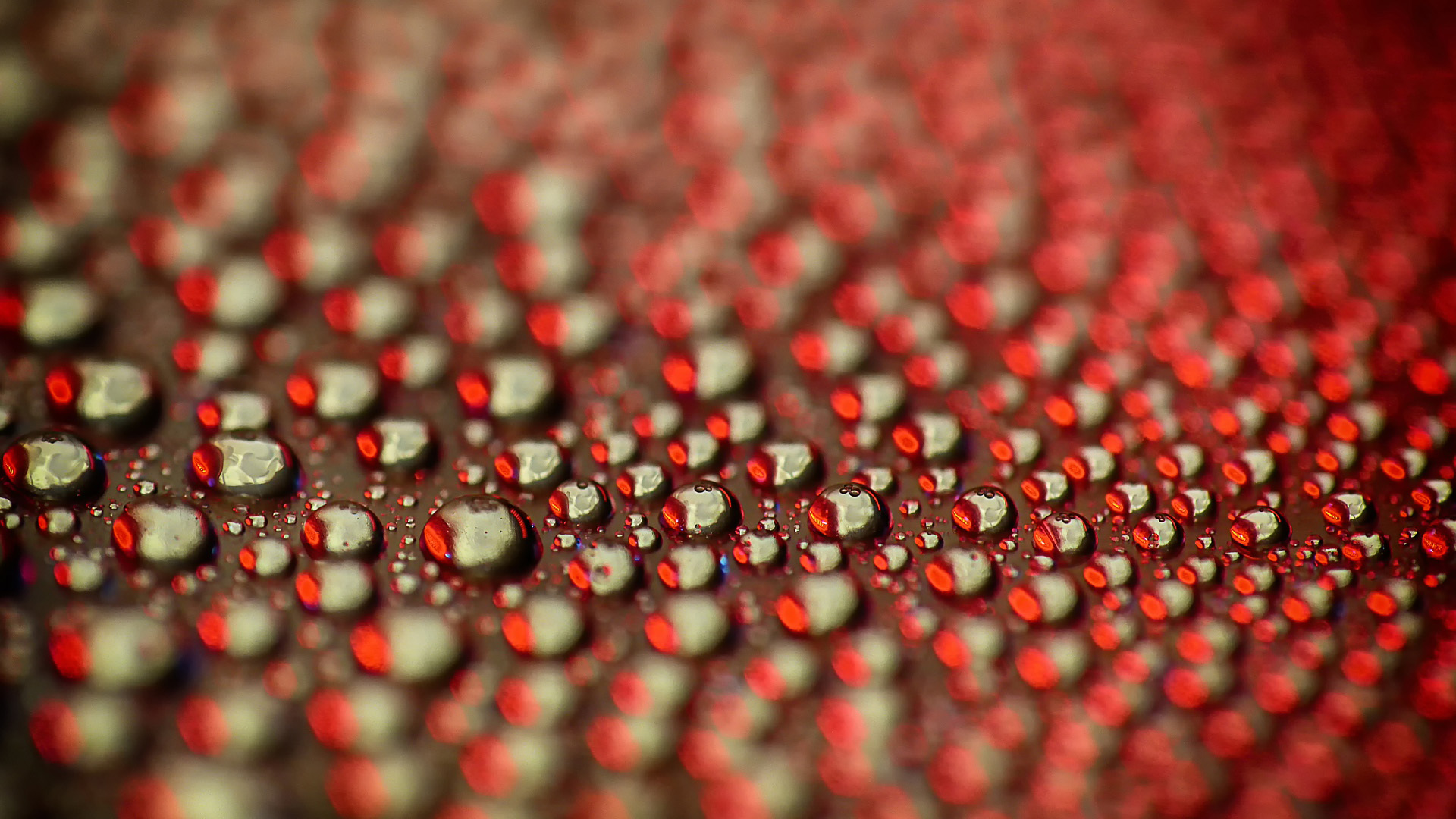 水滴,水珠,密集,密密麻麻,红叶