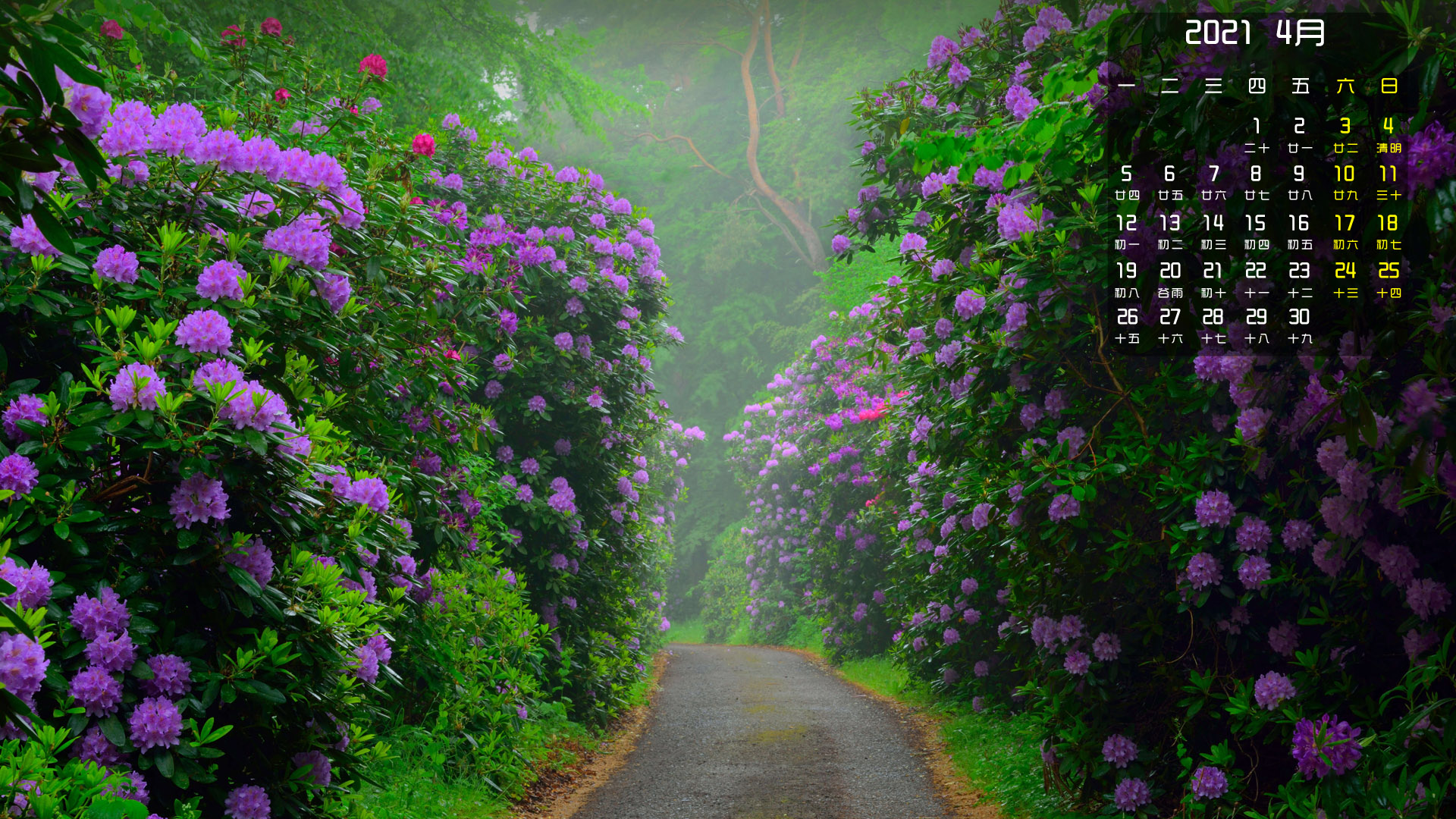 月历壁纸,,,4月,,花朵