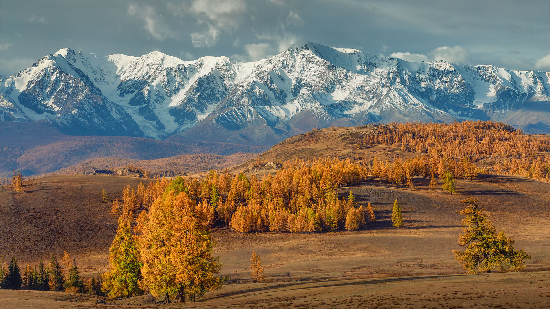 秋意正浓,雪山,高原,树林,神秘