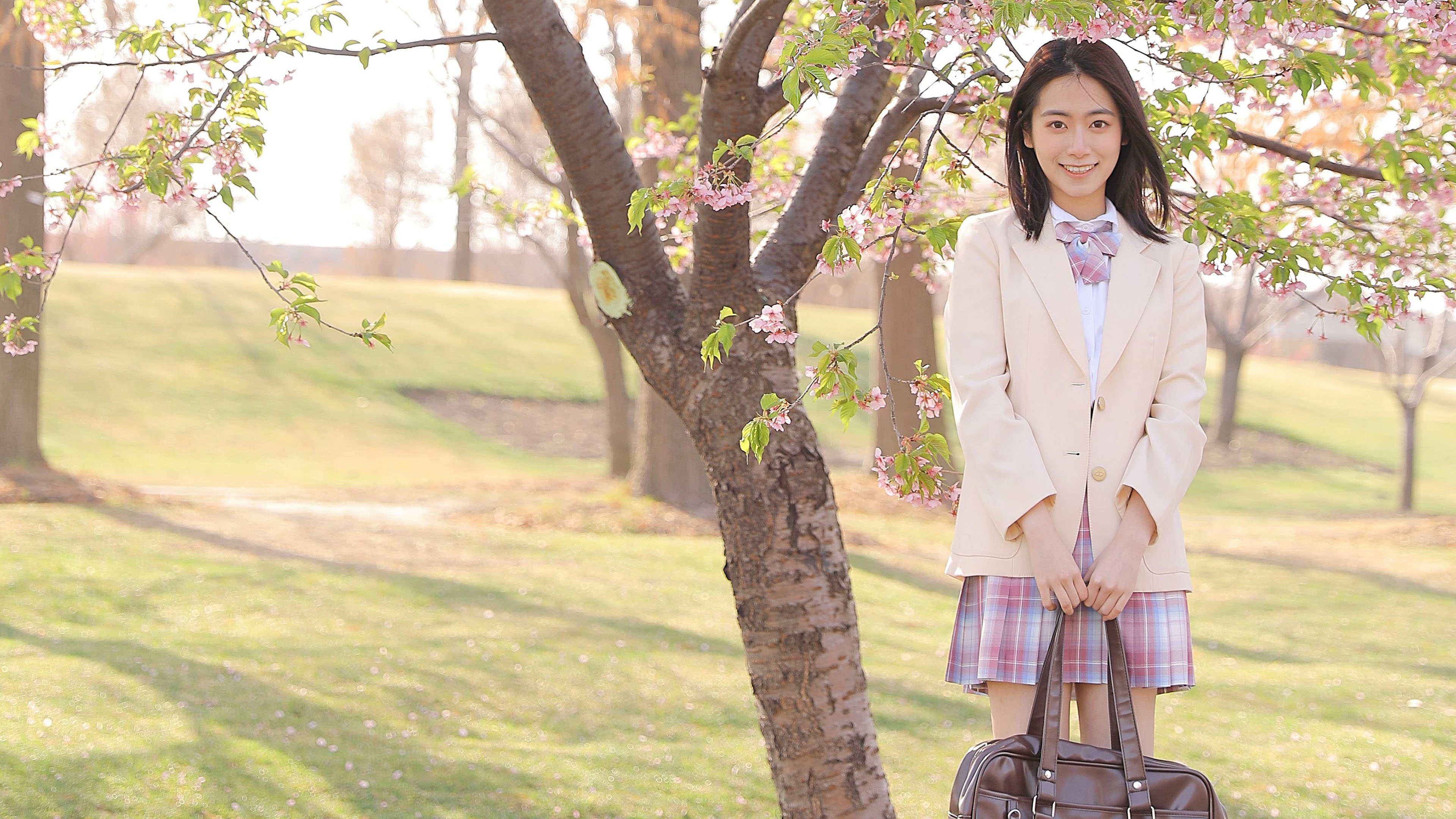 清纯,樱花,制服,校服,学姐,春天,阳光
