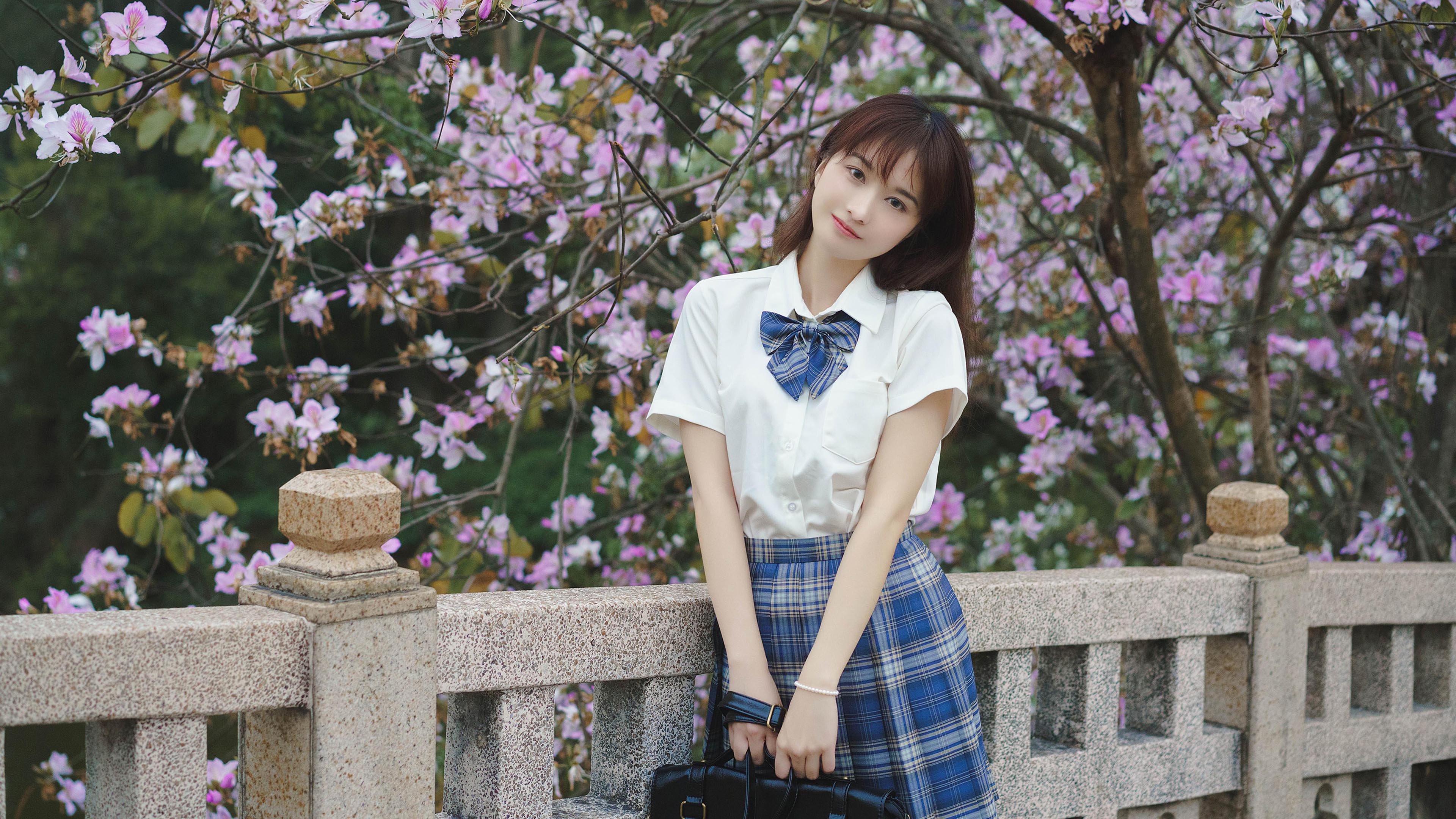 清纯,学生,校服,樱花,石桥,制服