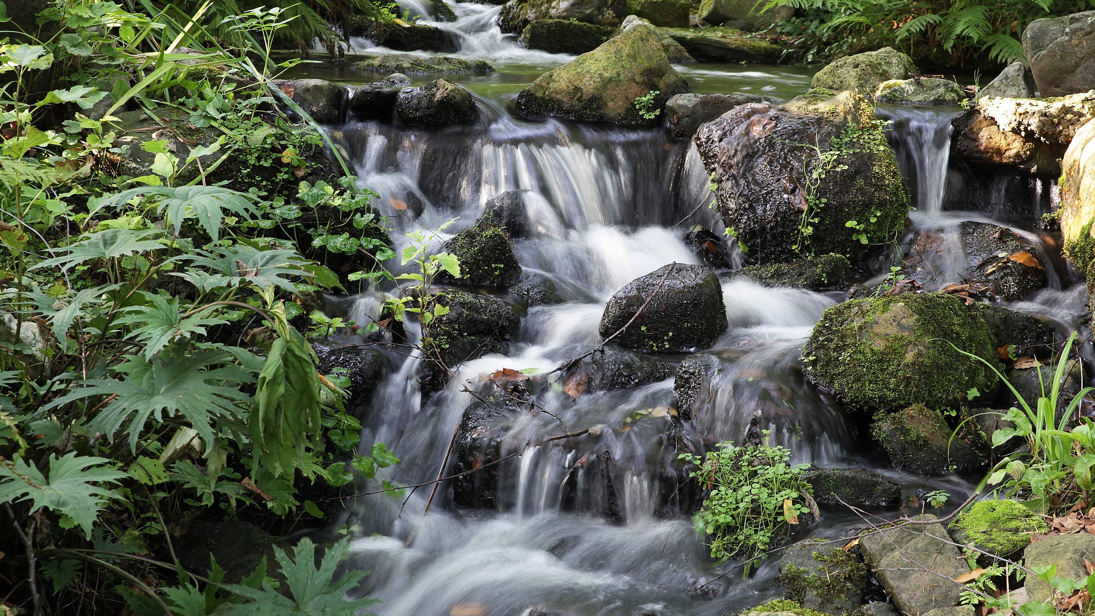 炎炎夏日,河流,小溪