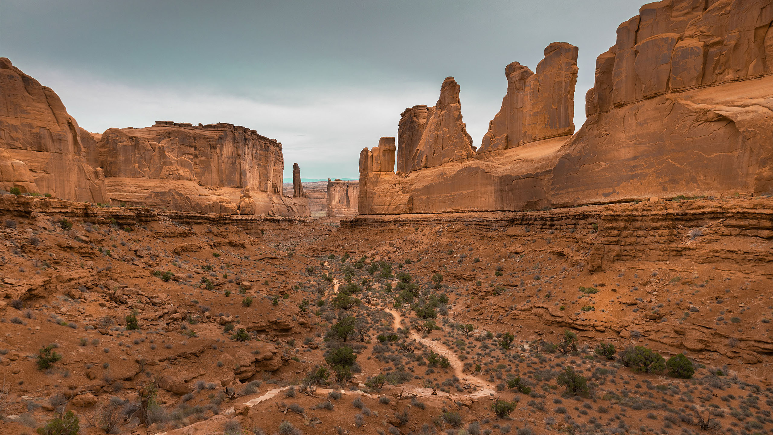 沙漠,红土,岩石,独特风光