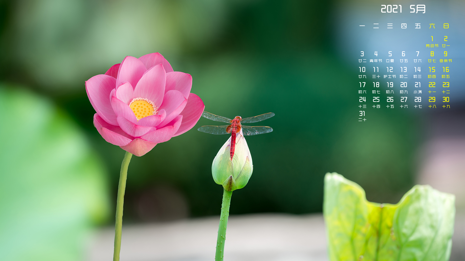 月历壁纸,,5月