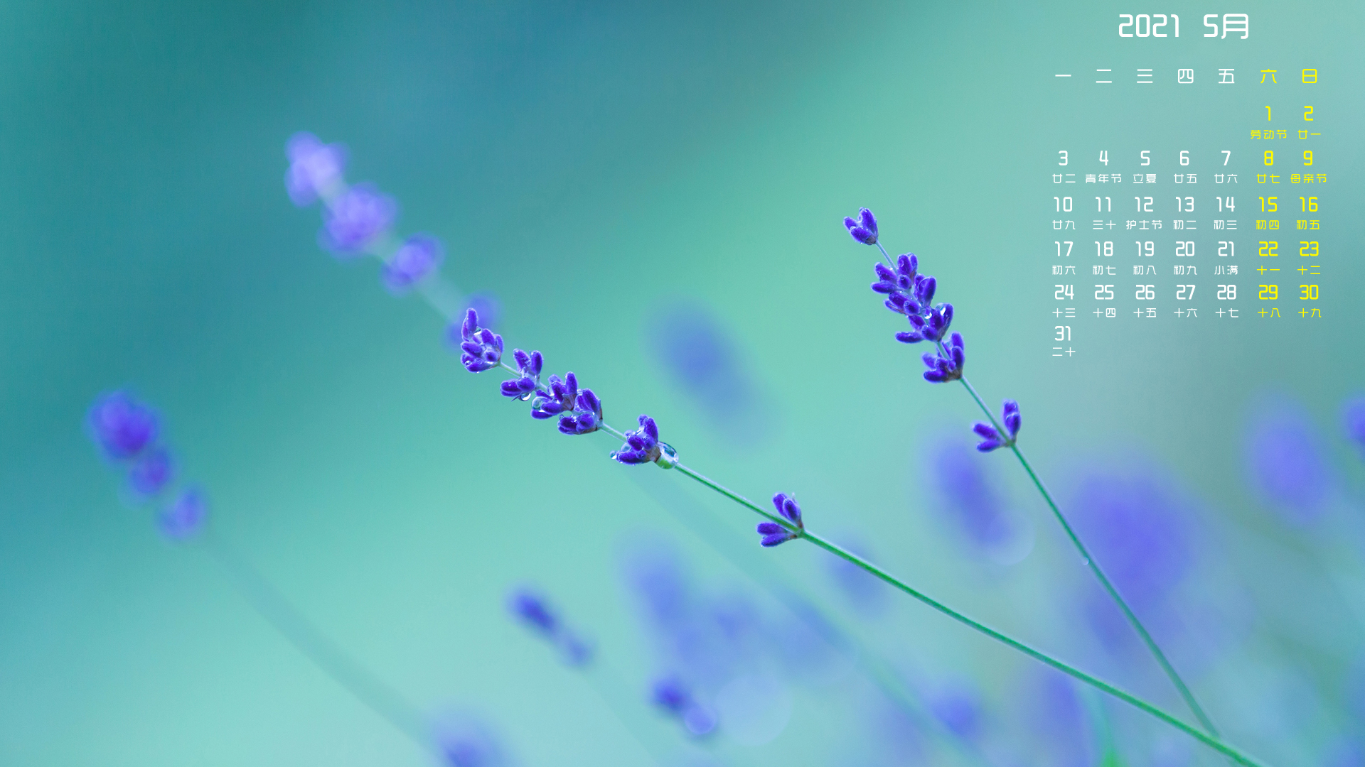 月历壁纸,,5月