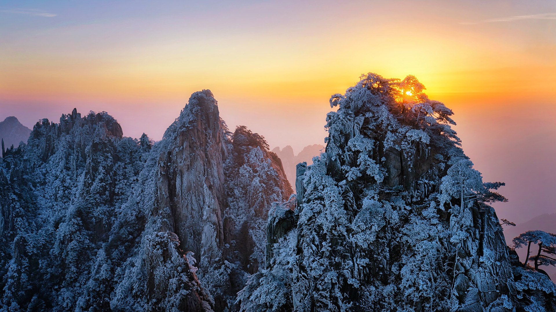 自然风光,黄山,冬天,日出,雪松