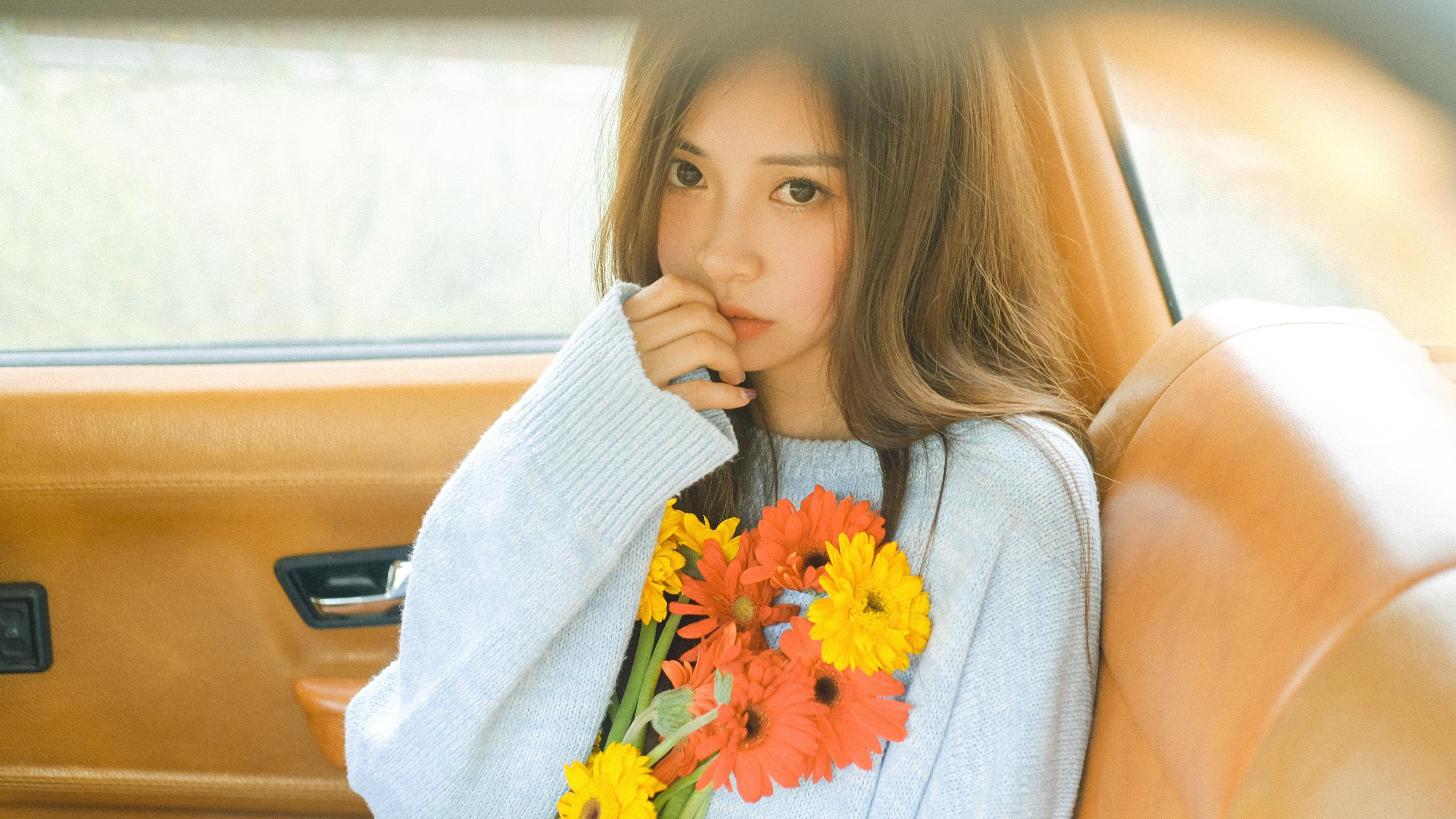 清纯,菊花,浅色毛衣