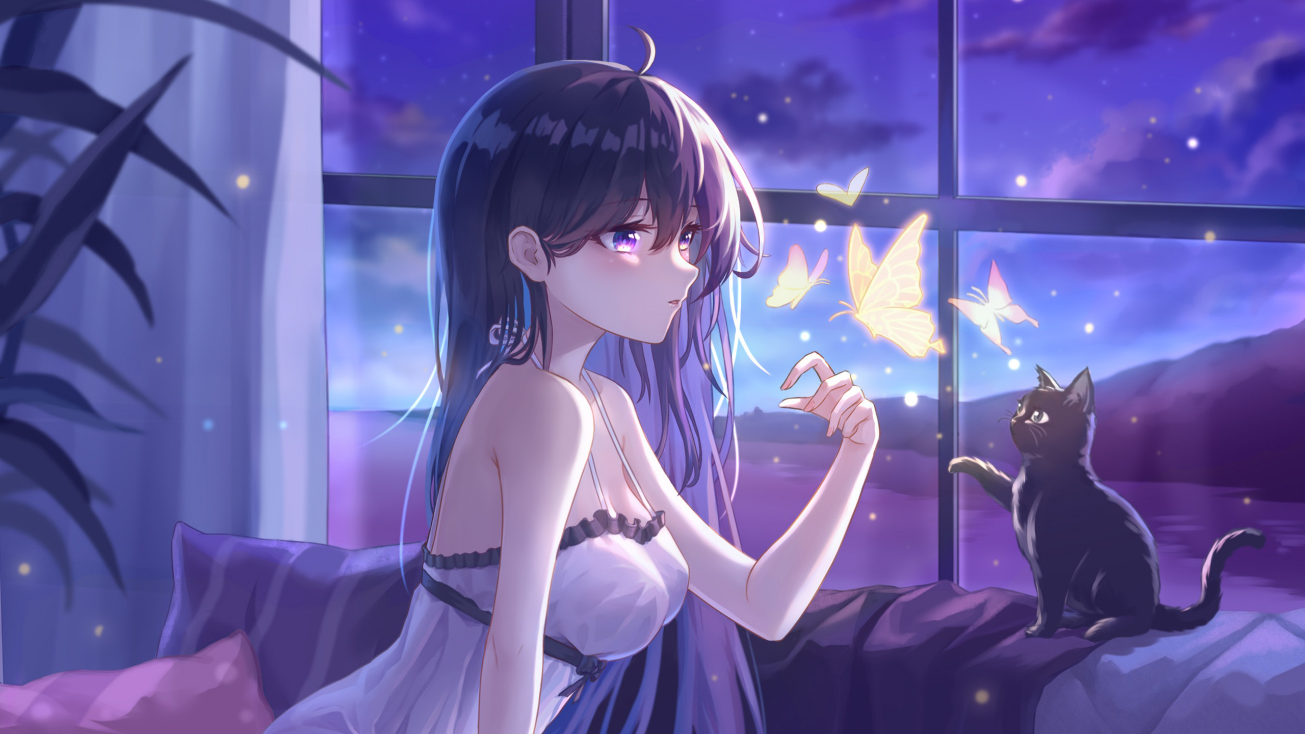 二次元,黑猫,蝴蝶,窗户,女孩