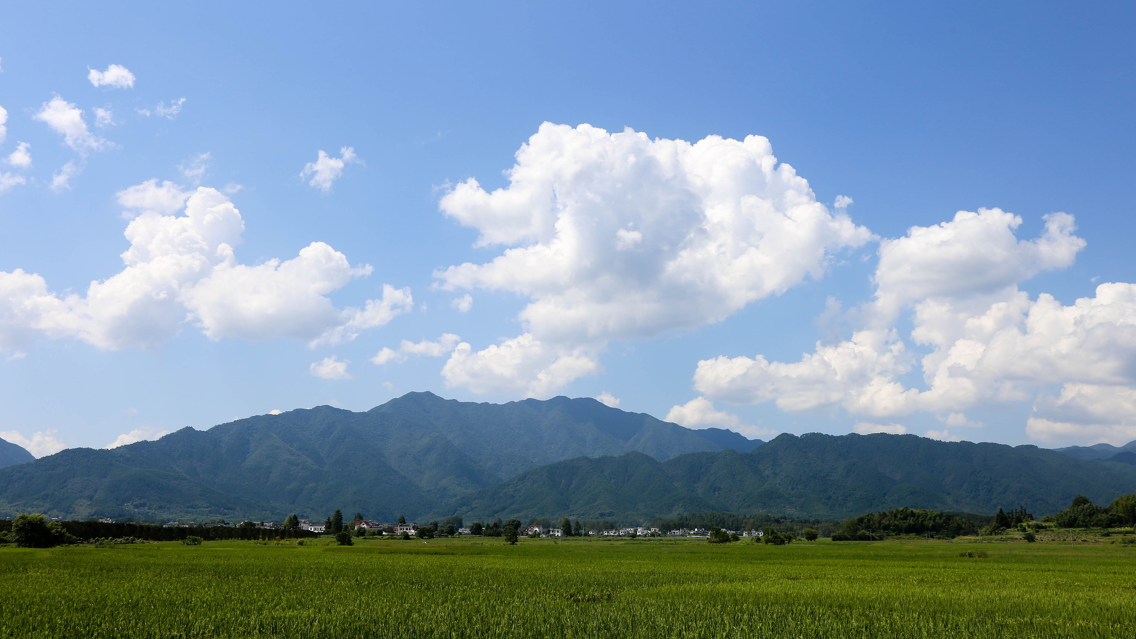 春意盎然,天空,云朵,稻田,村庄