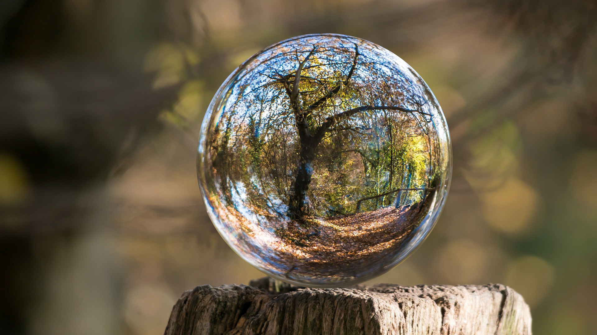 水晶球,折射,春天,