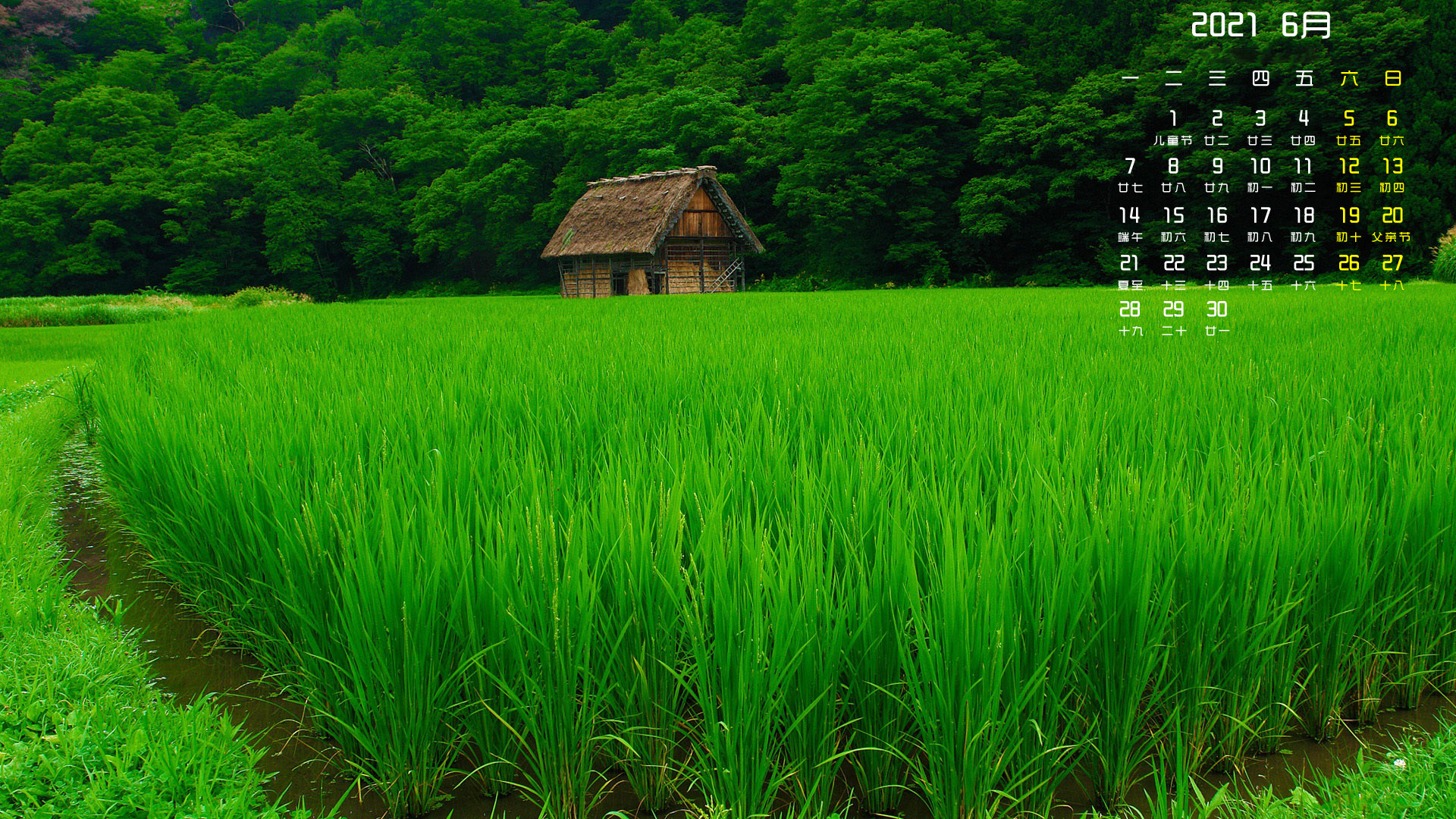 月历壁纸,6月