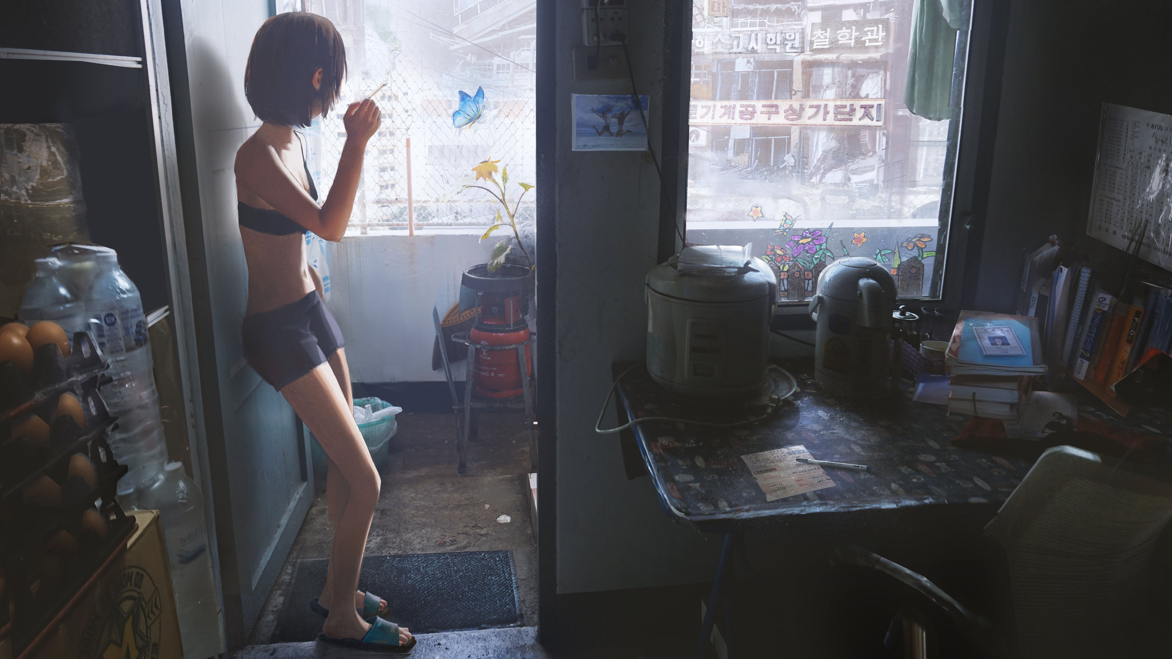 蝴蝶,卧室,窗台,生活