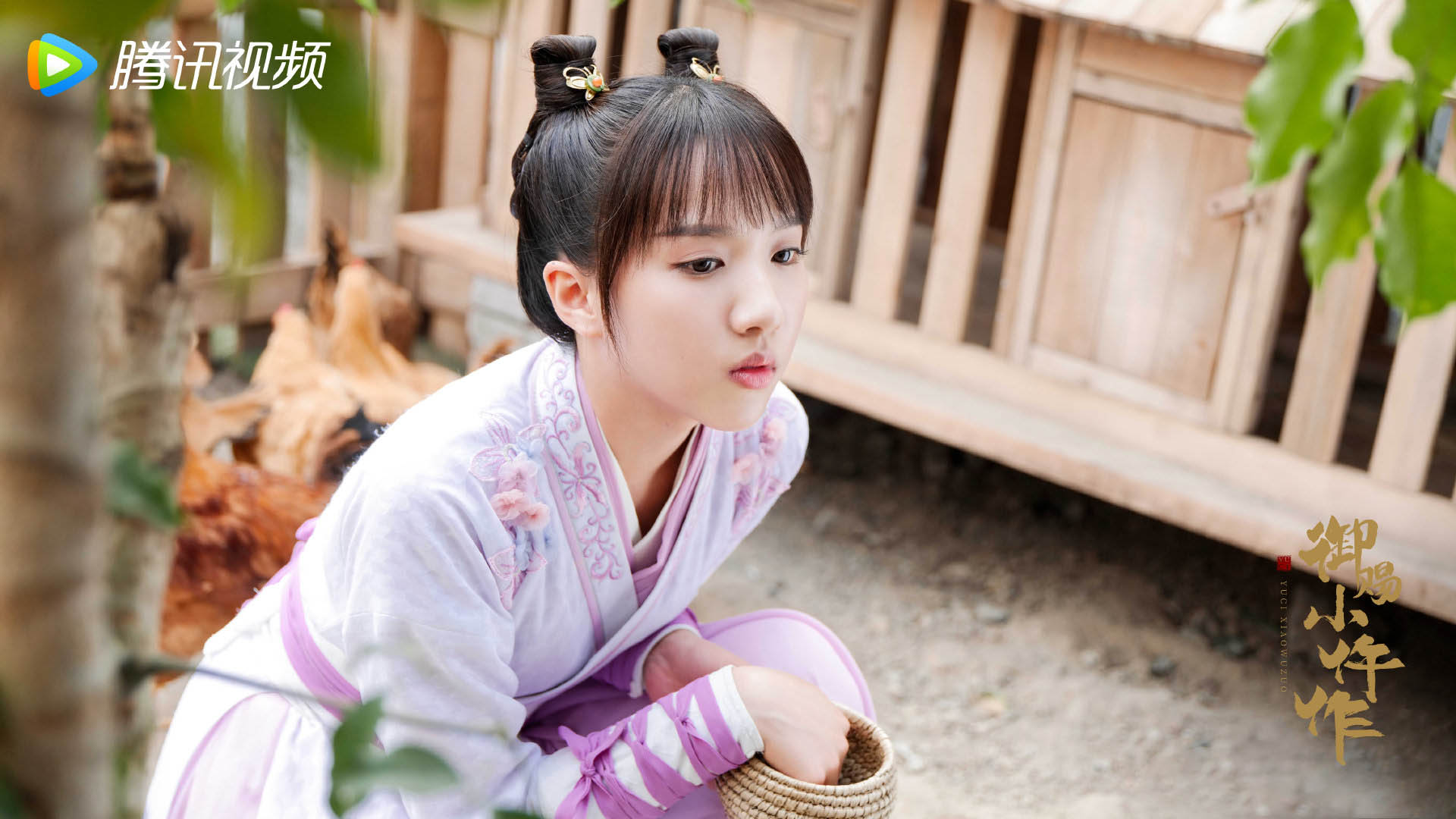 御赐小仵作,苏晓彤,,王小奇