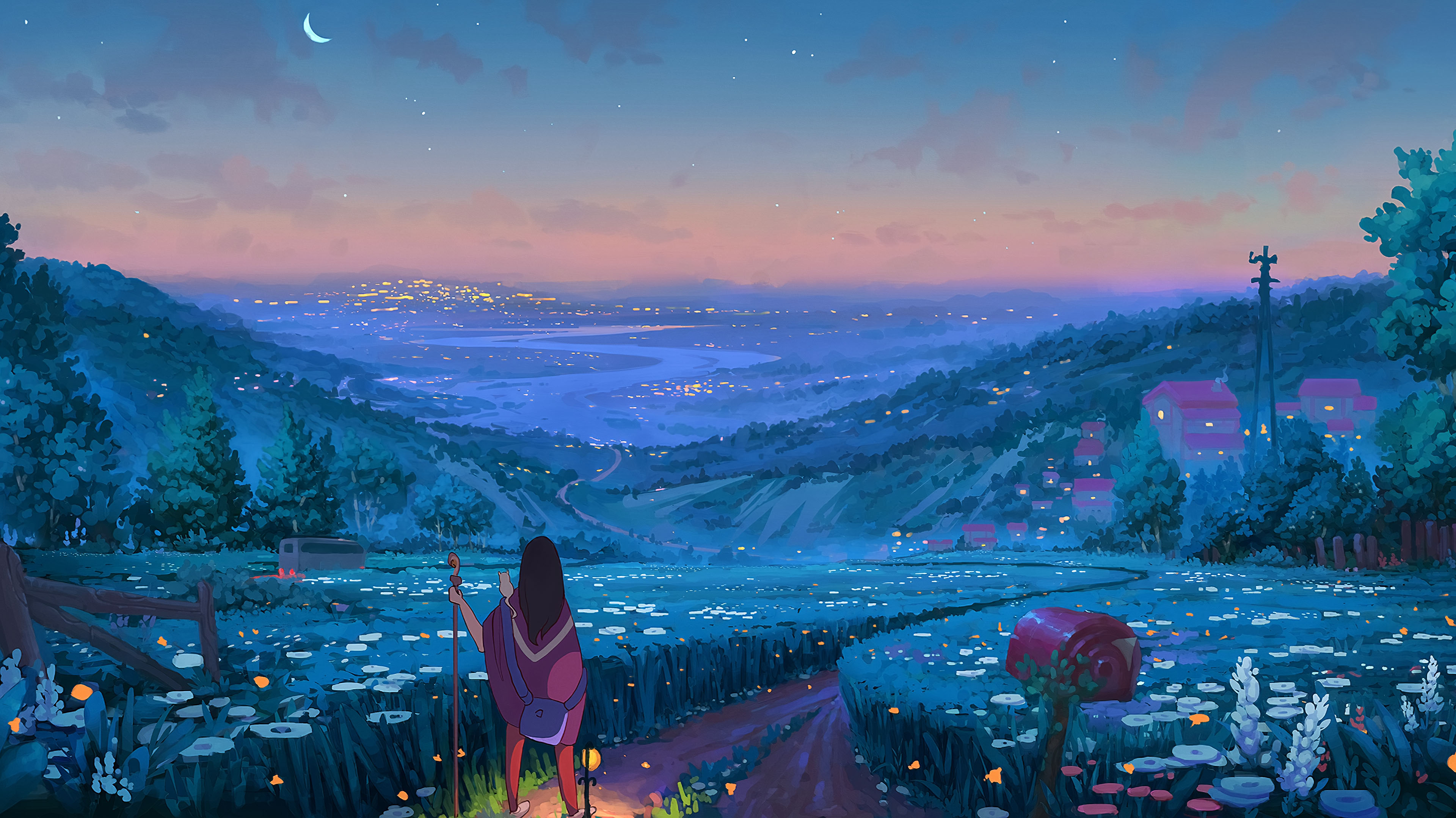 夜晚,月亮,旷野,城市