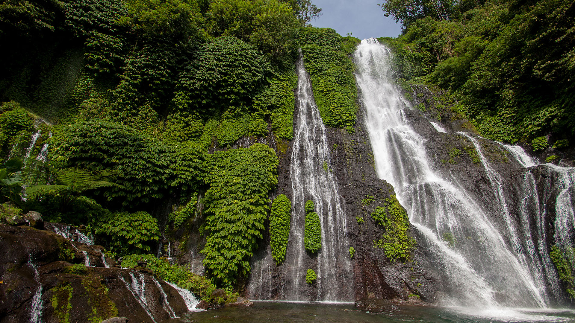 自然风光,瀑布,夏天,丛林