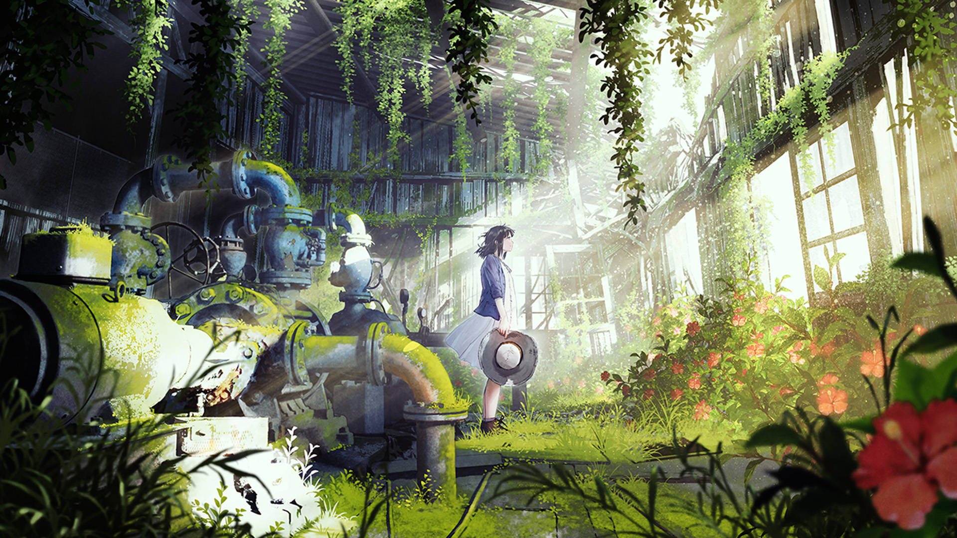 花房,阳光,草地,废墟