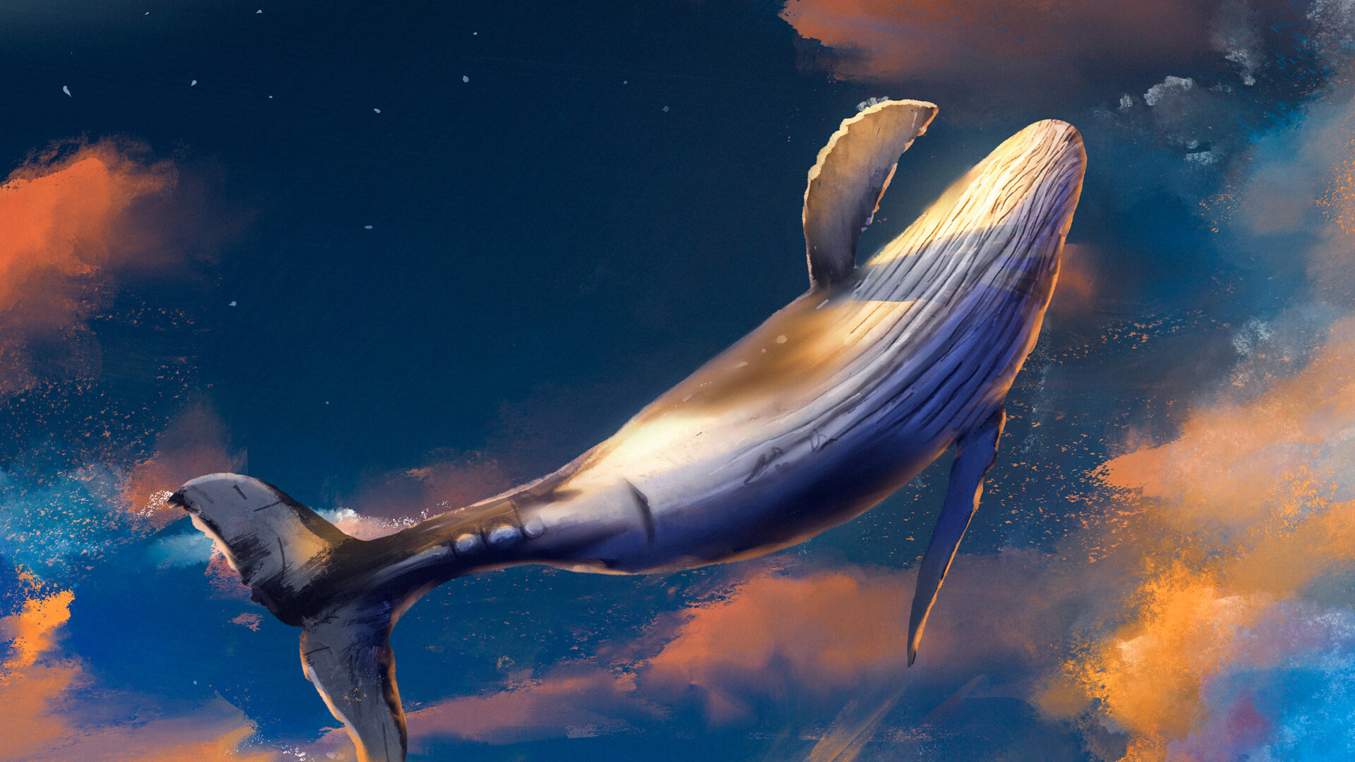 童话,鲸鱼,鲲,飞翔