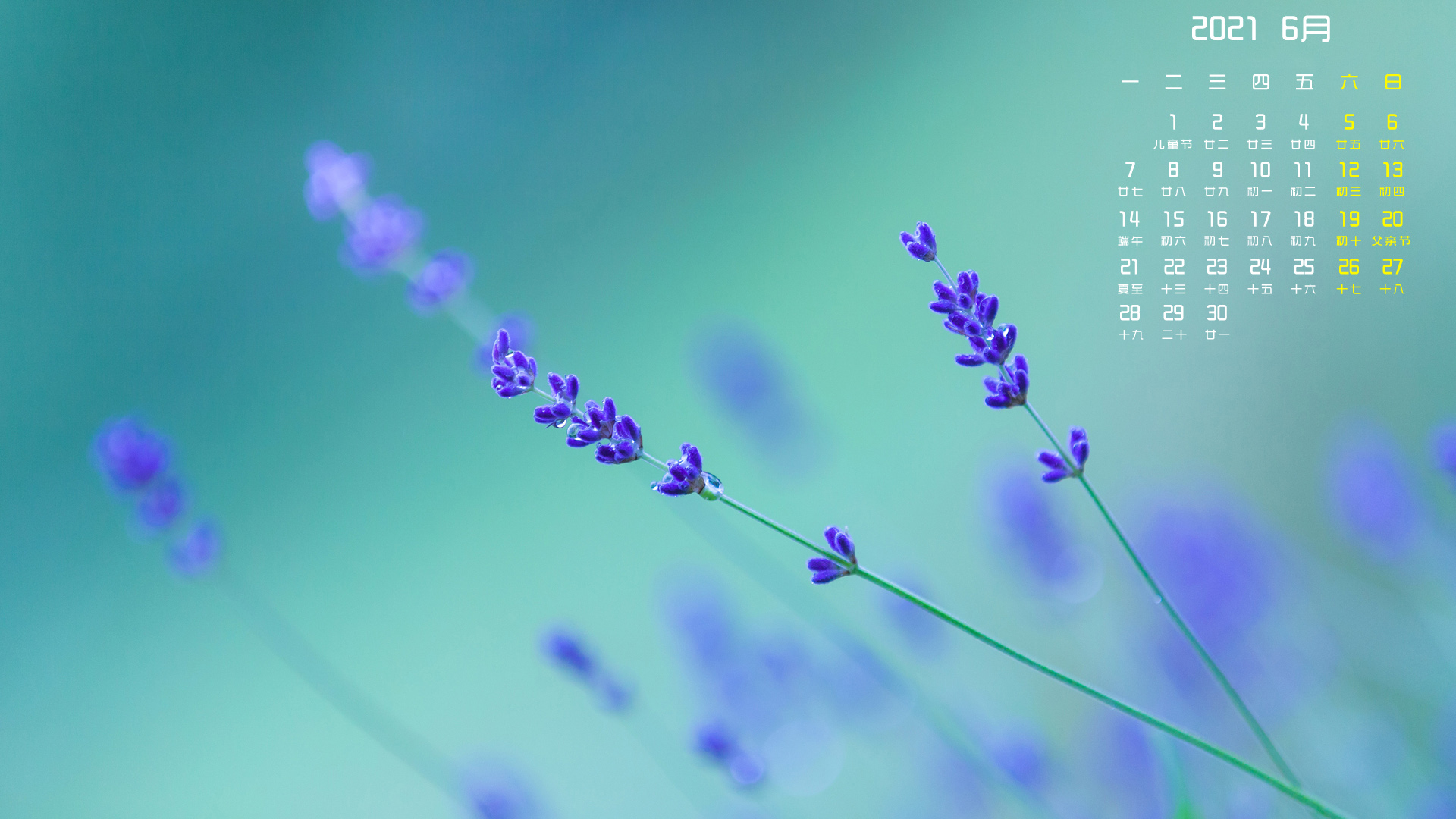 月历壁纸,6月