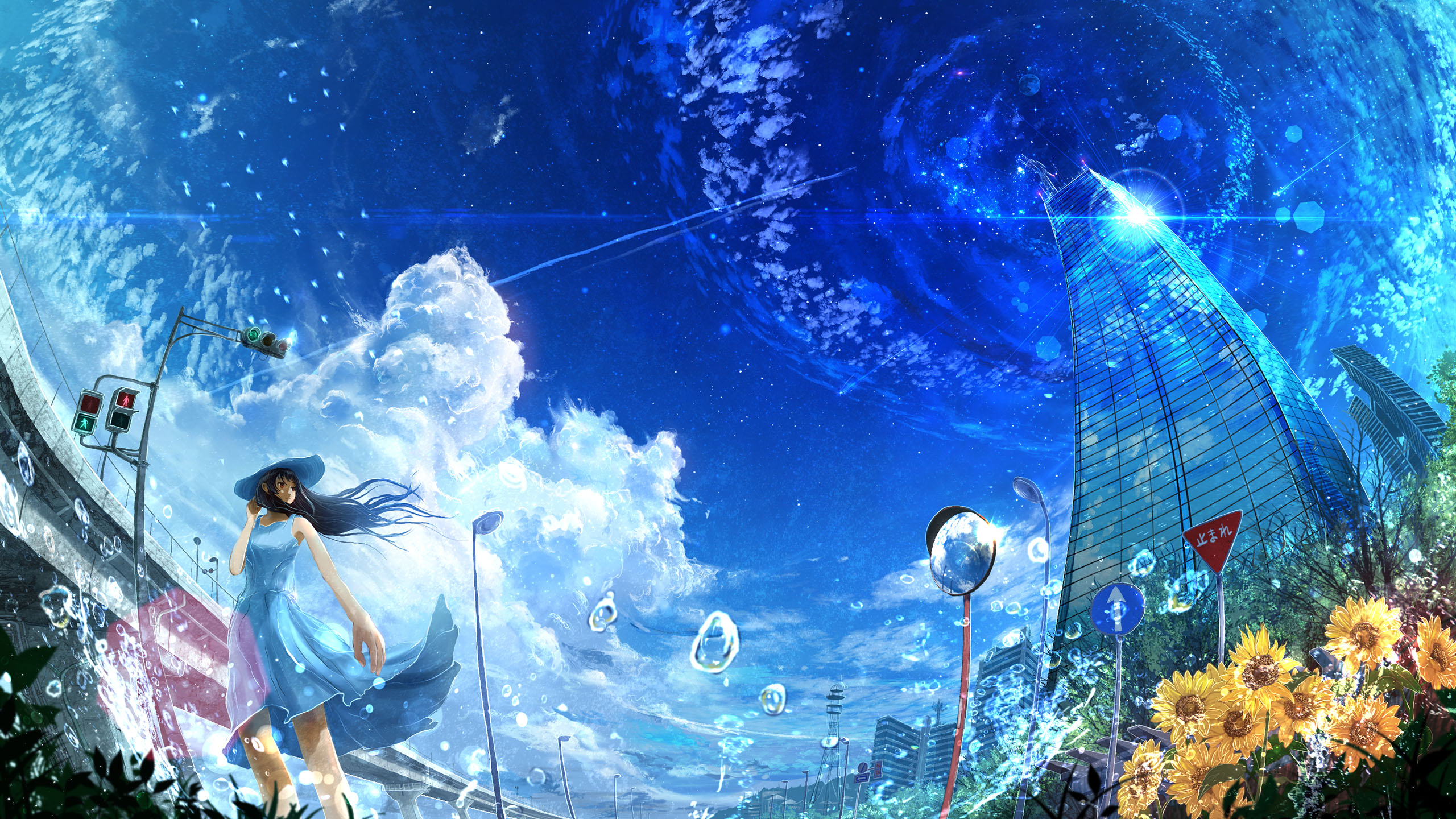 天空,城市,向日葵,路灯