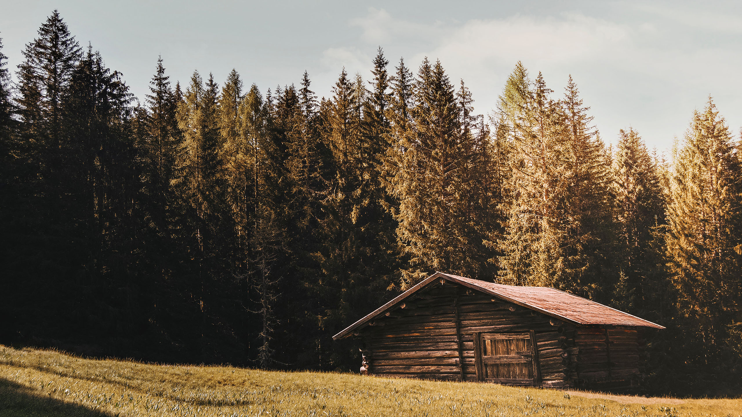 秋意正浓,树林,小木屋,林场