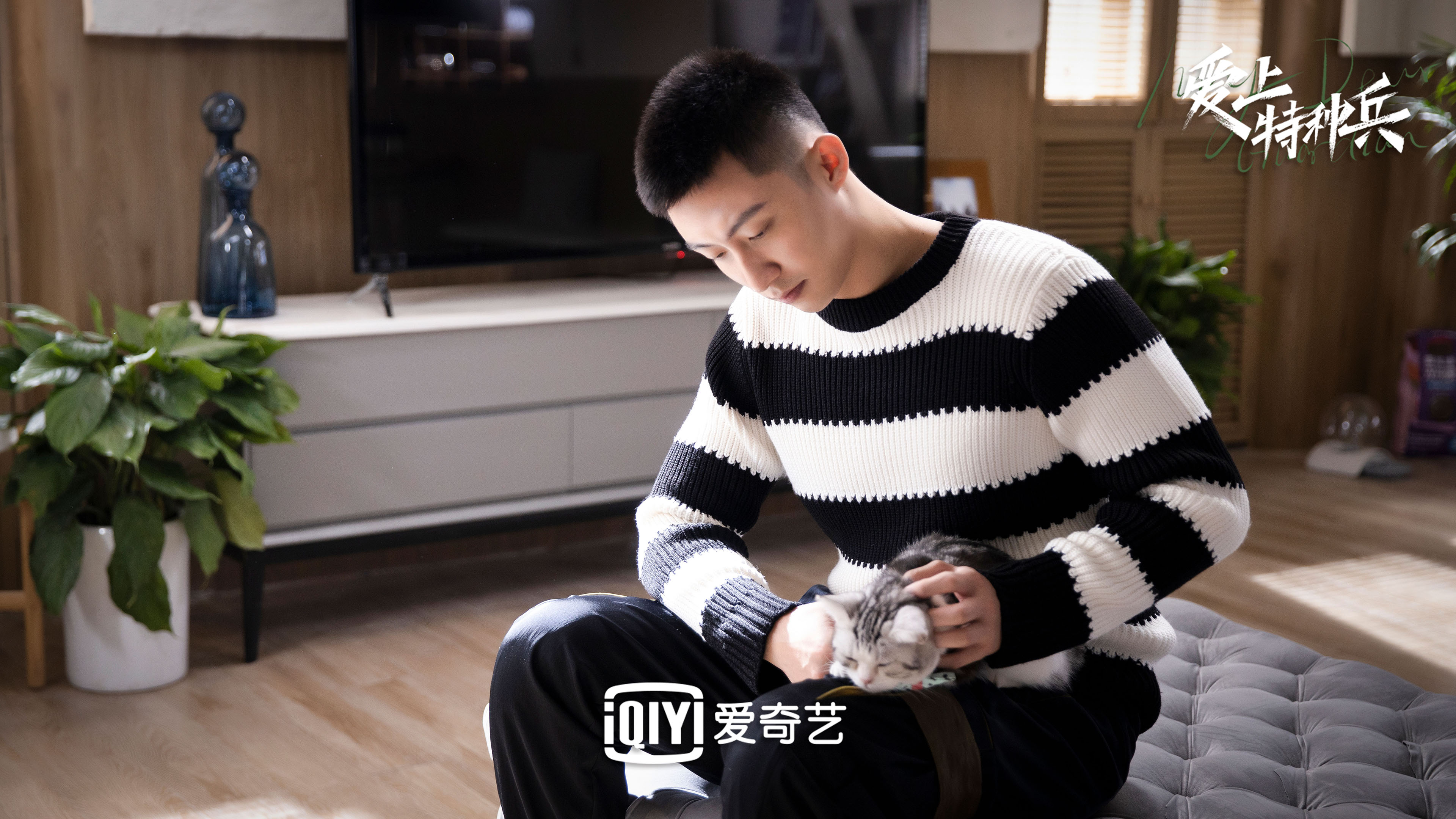 爱上特种兵,黄景瑜,李沁,