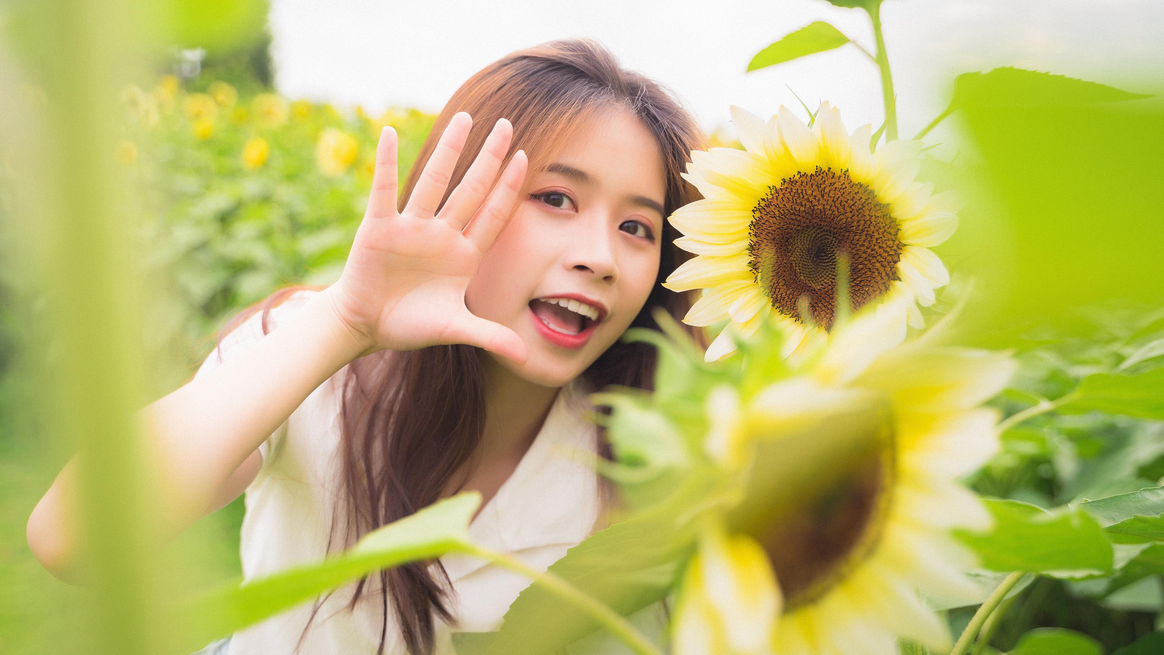 清纯,阳光,向日葵