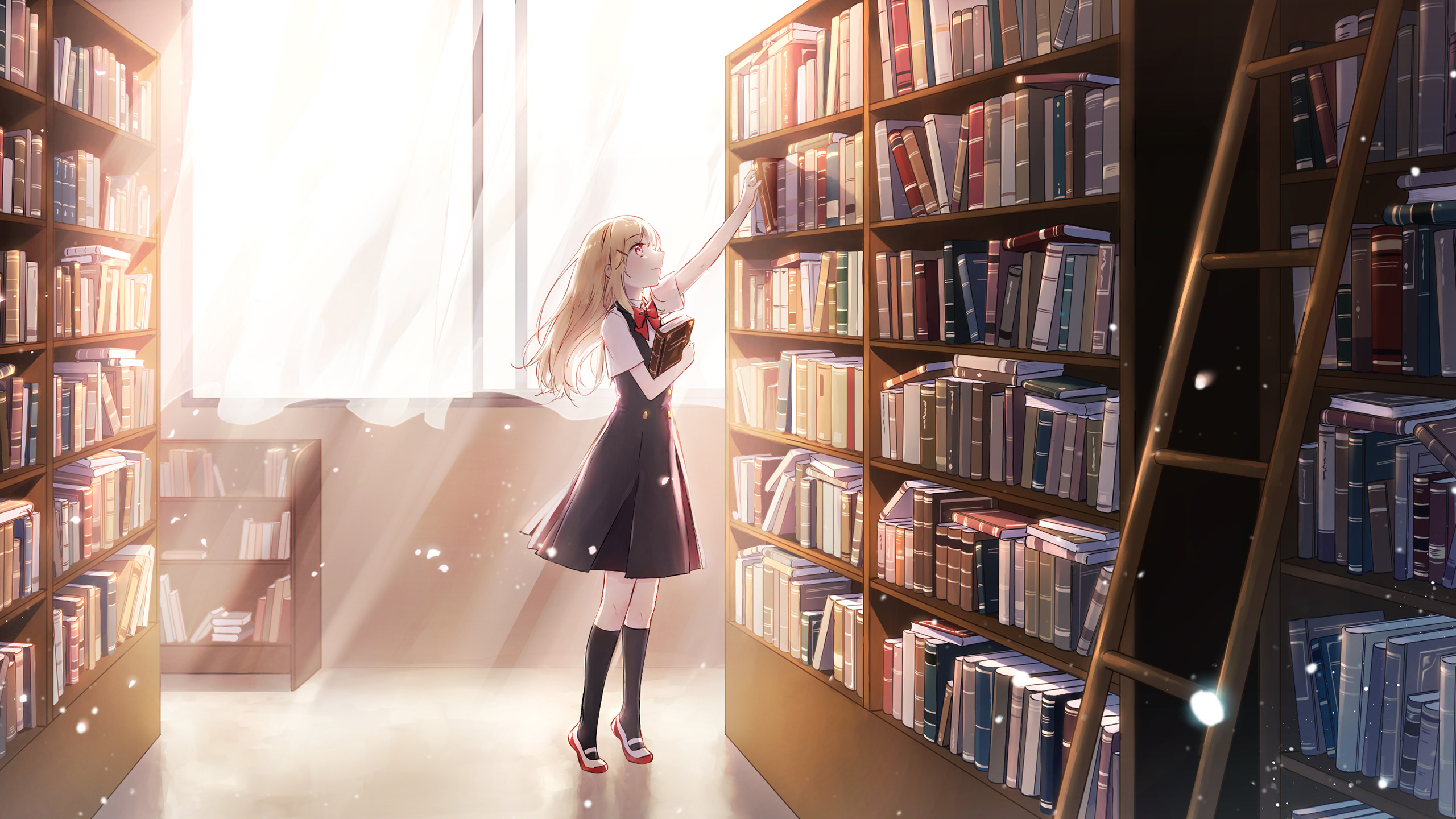 阳光,图书馆,楼梯,知识的殿堂