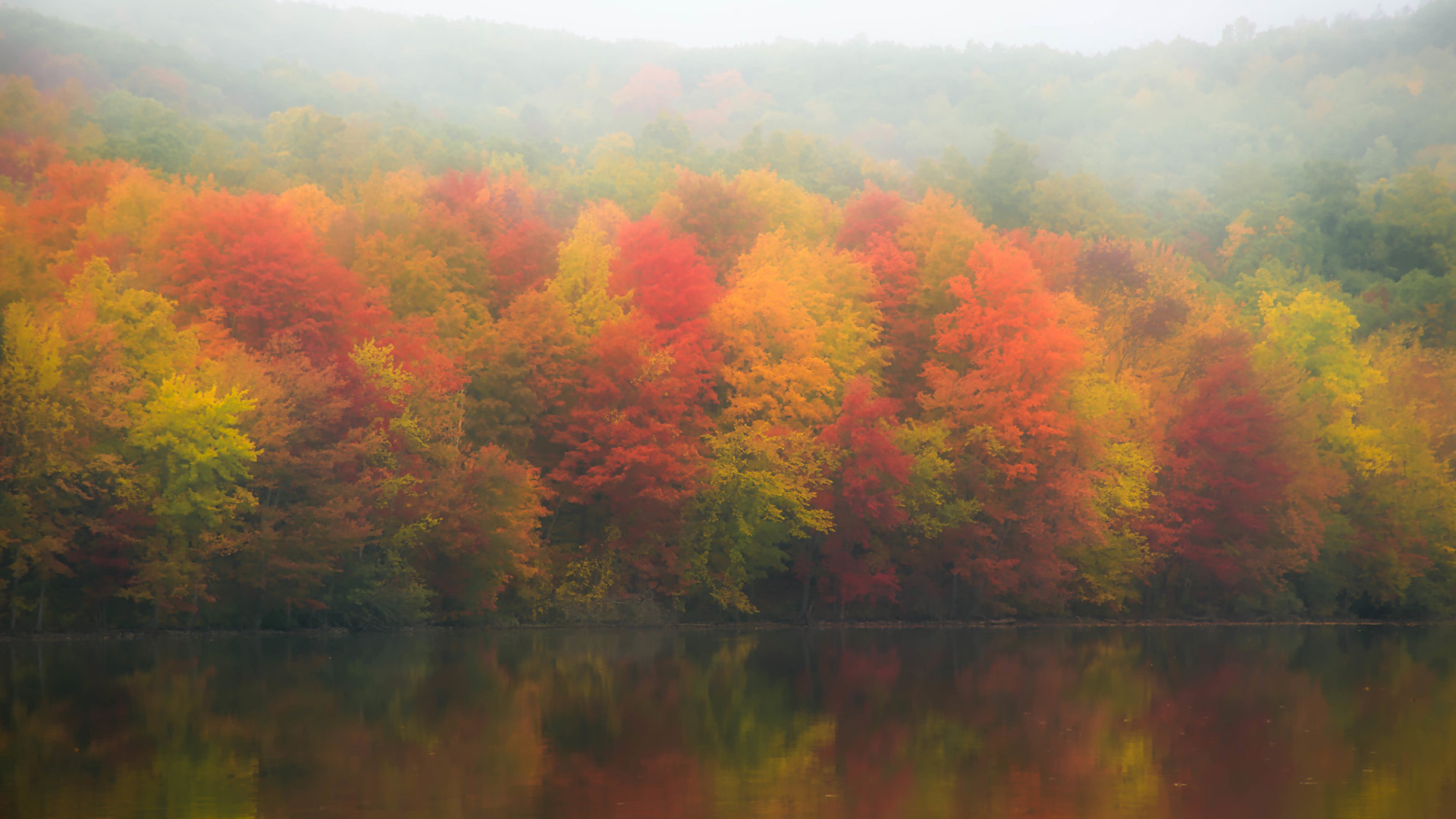 秋意正浓,红树林,湖面倒映
