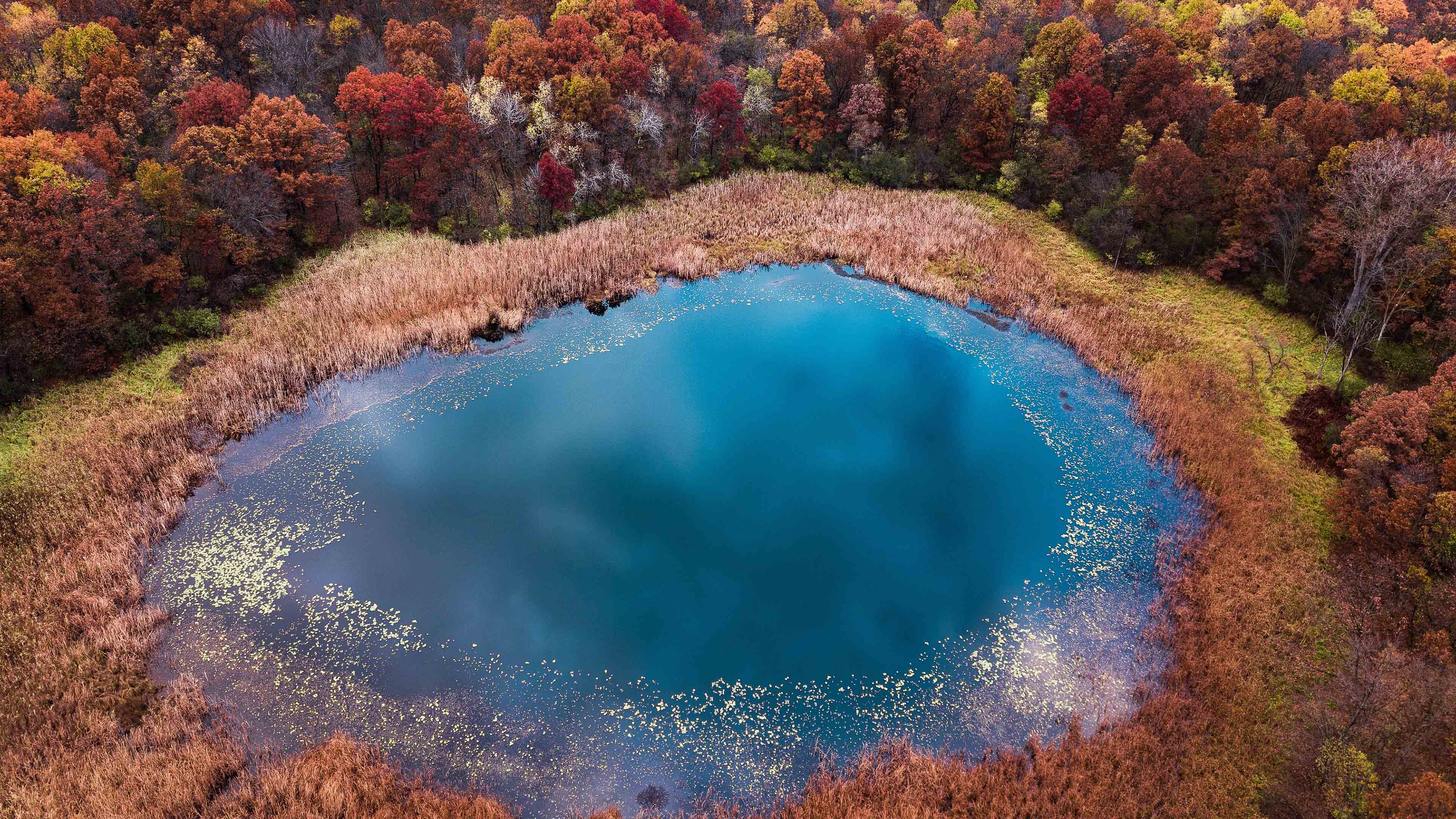 秋意正浓,树林,碧蓝湖水