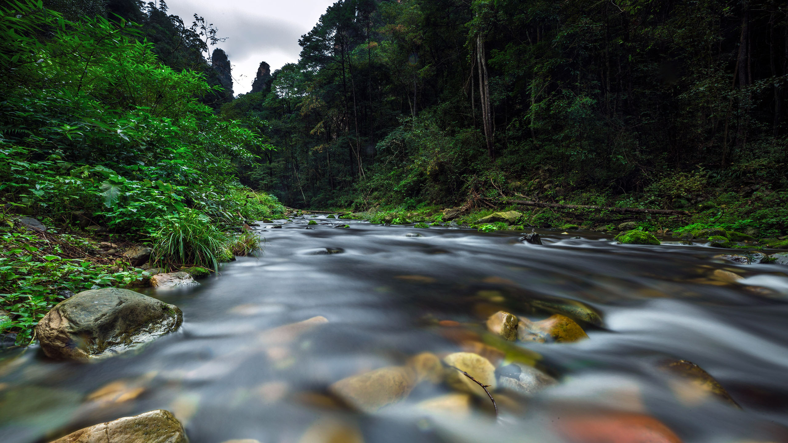 自然风光,山谷,山间河流,清溪