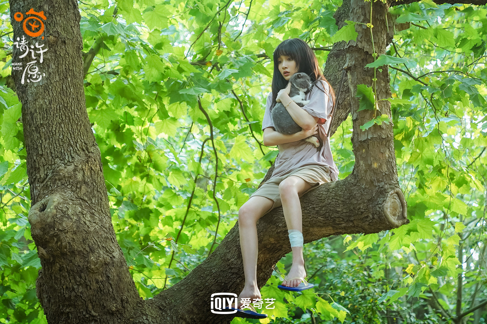 喵请许愿,任宥纶,葛鑫怡