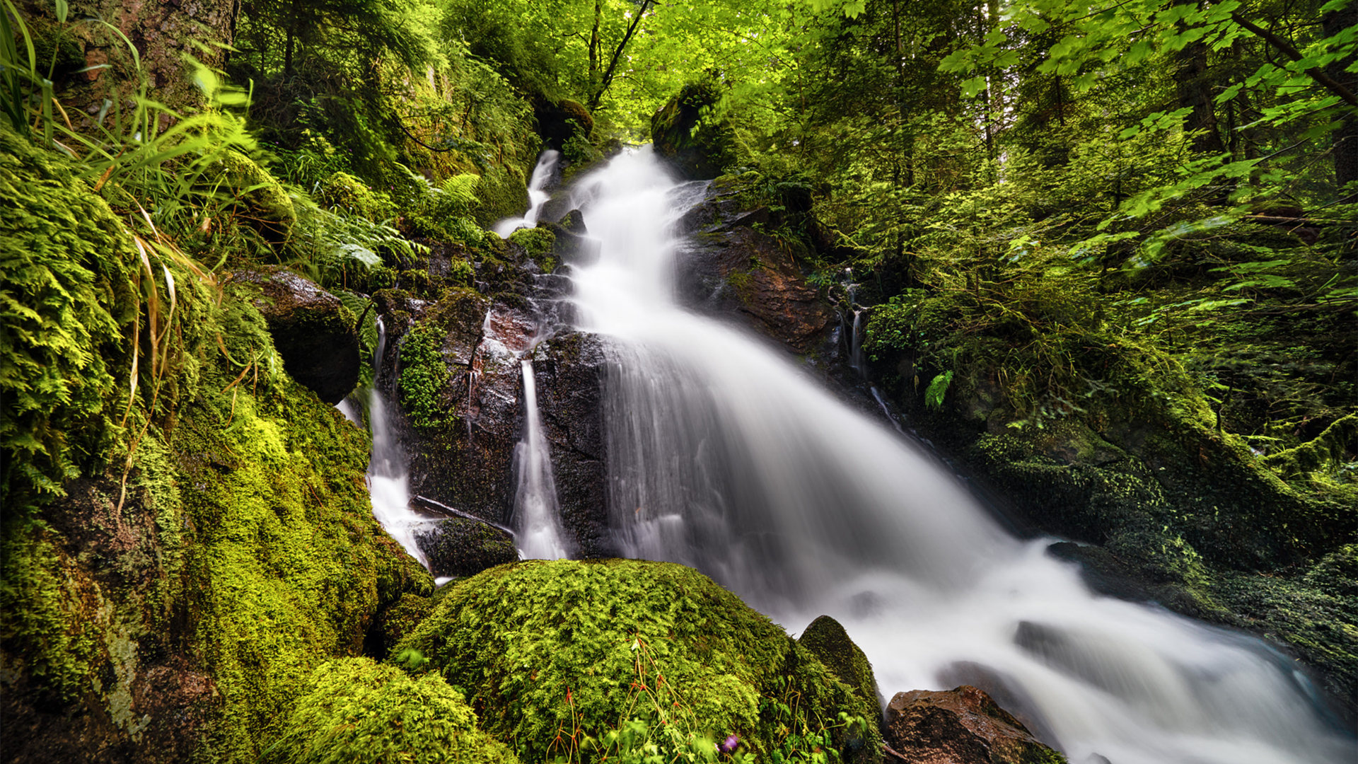 炎炎夏日,瀑布,清凉,青苔,山涧
