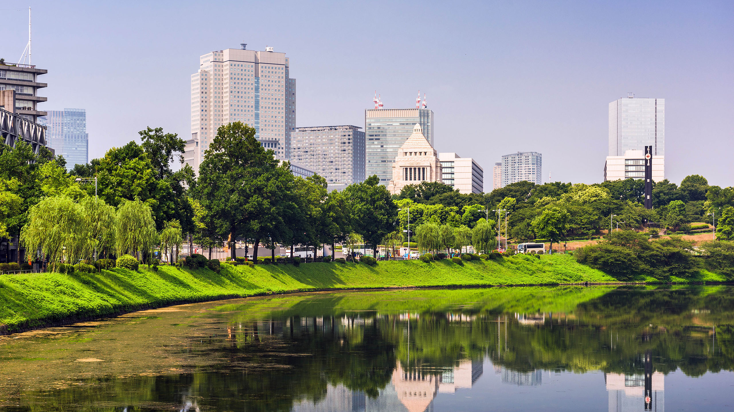 炎炎夏日,公园,倒映,高楼大厦,树林