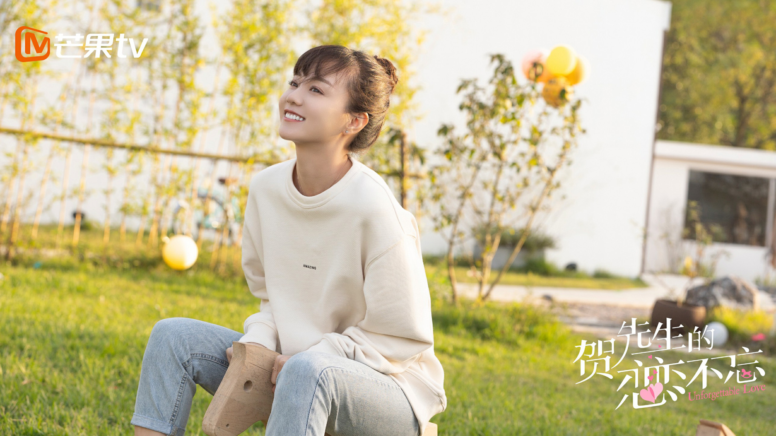 贺先生的恋恋不忘,胡意旋,魏哲鸣